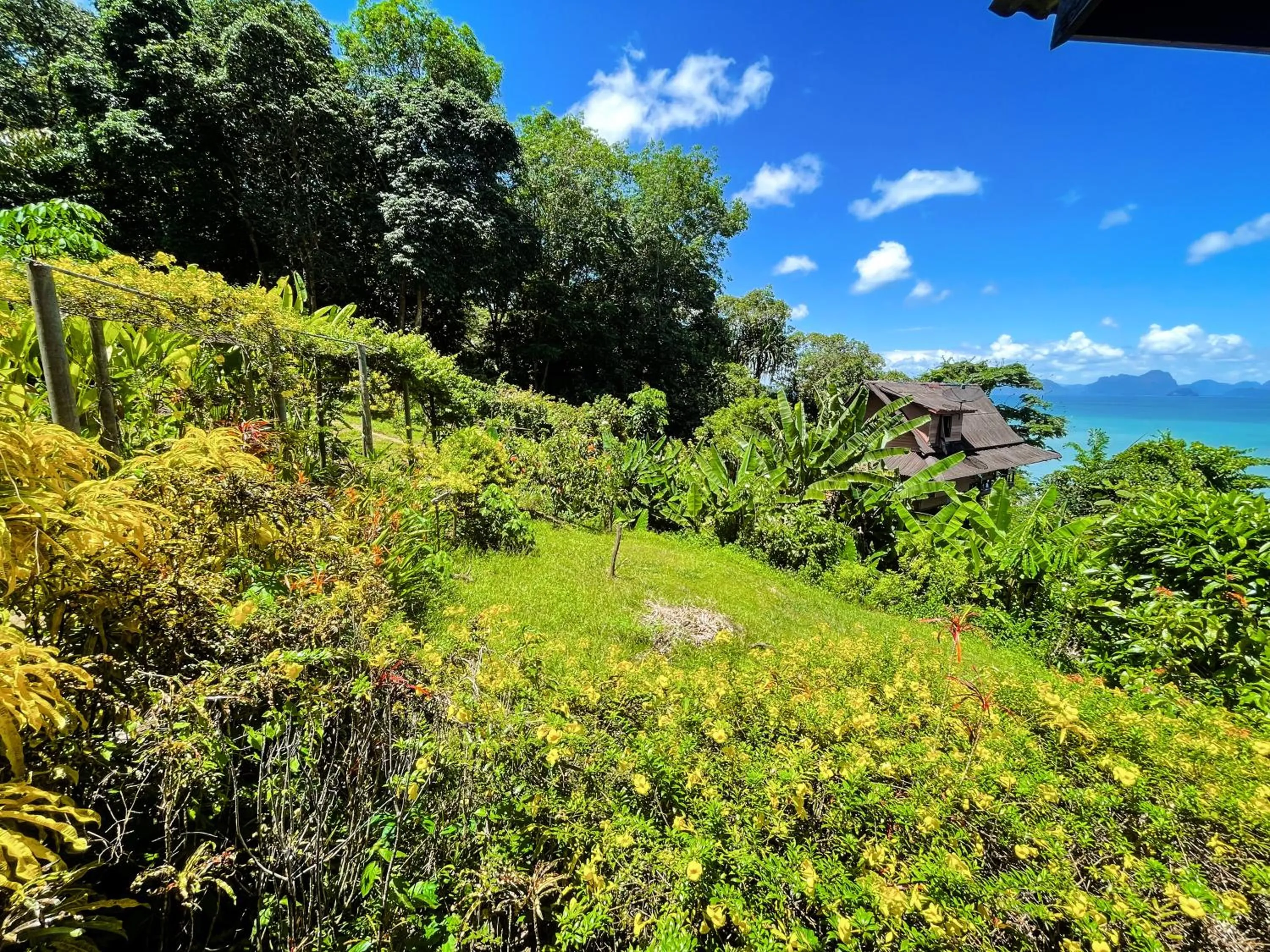 Natural landscape in Hillhouse - Koh Yao Noi
