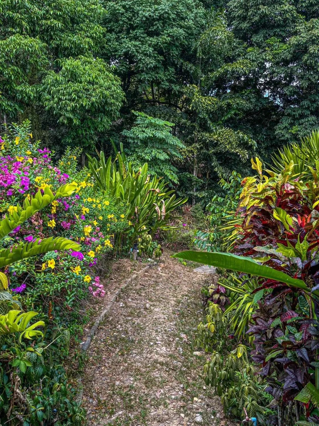 Garden in Hillhouse - Koh Yao Noi