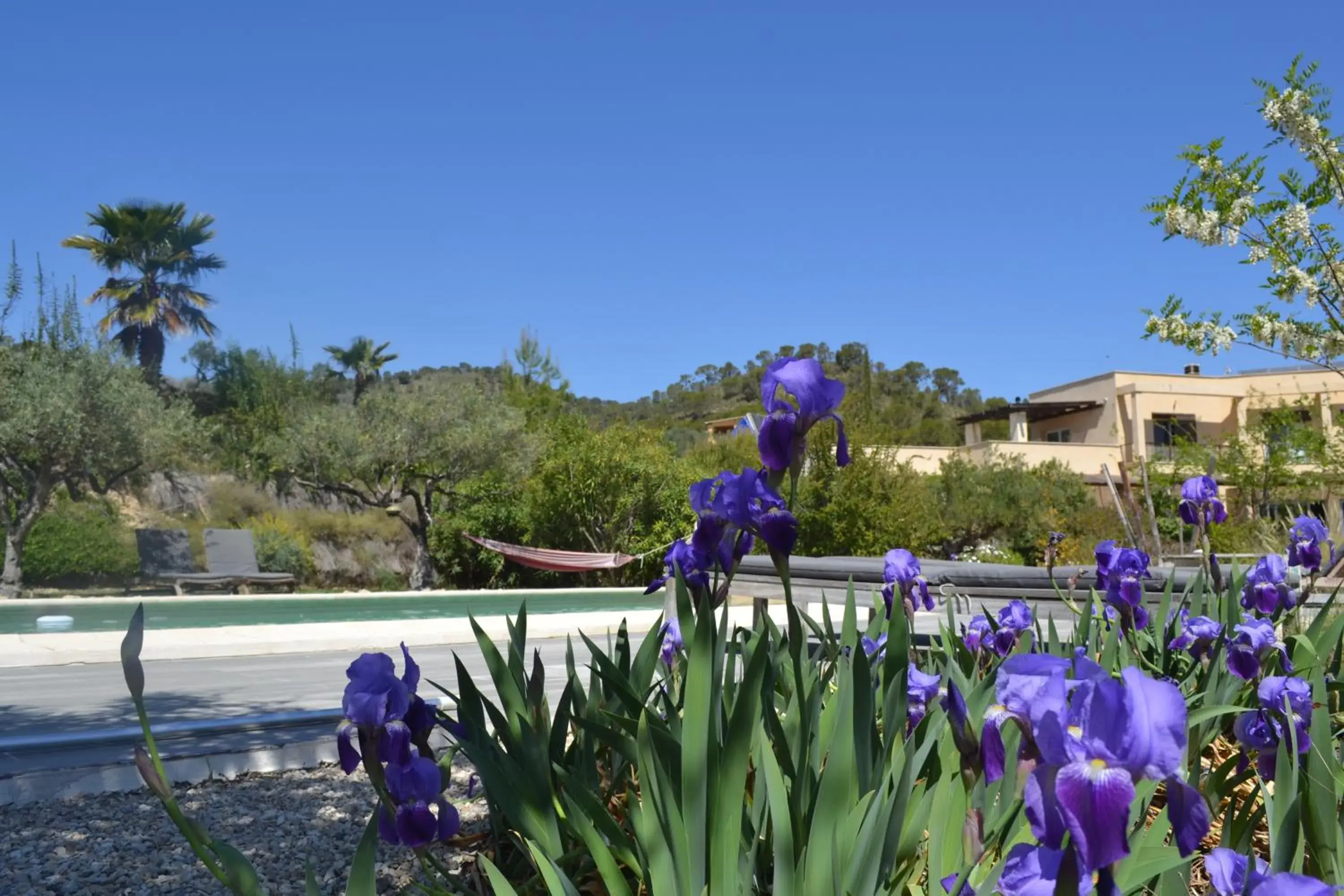 Swimming pool in El Pao Spa Swimming pool in El Pao Spa