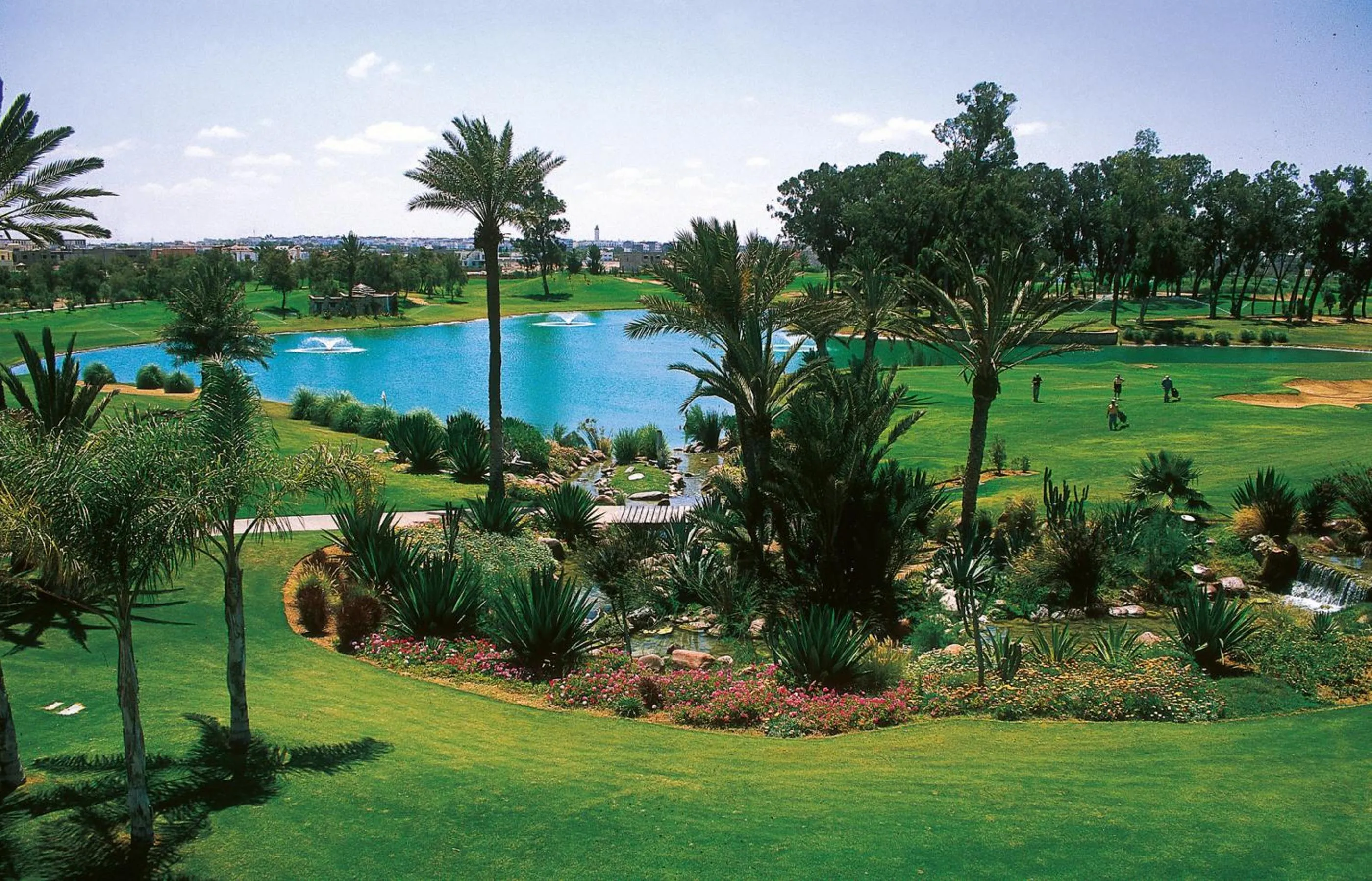 Garden in Hotel Riu Tikida Beach - Adults Only - All inclusive