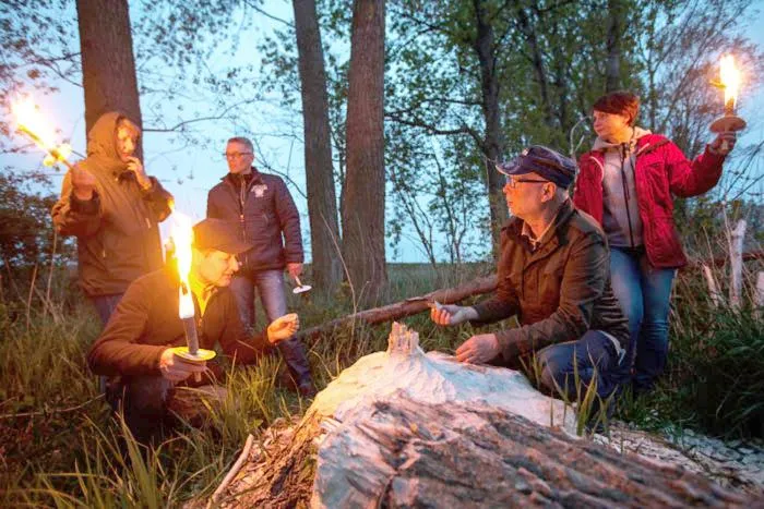 Activities in Meeressterne Hotel Forsthaus Damerow