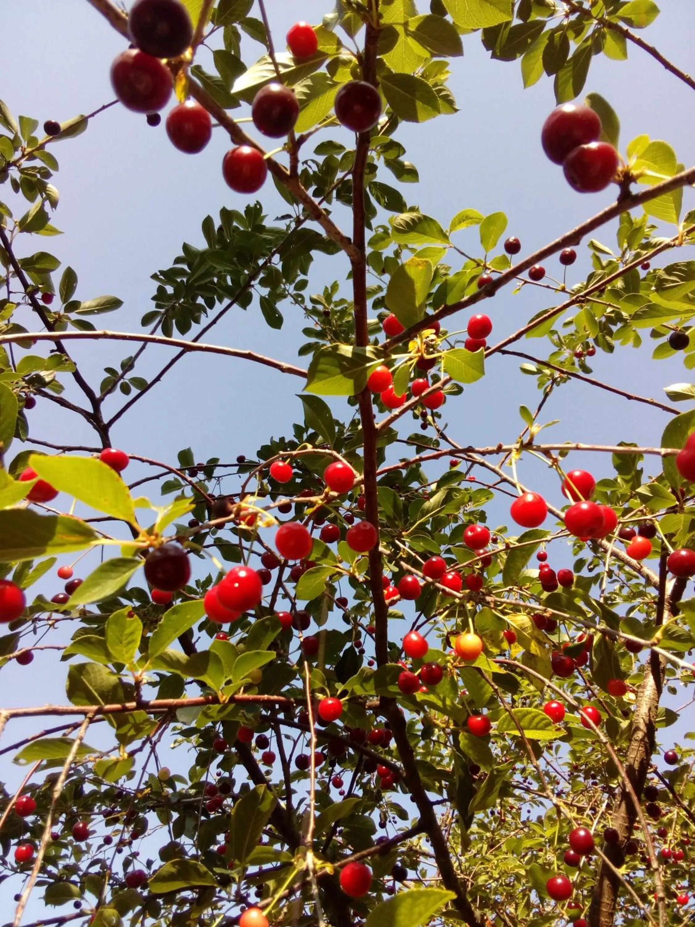 Bed & Breakfast SENTIERO 54