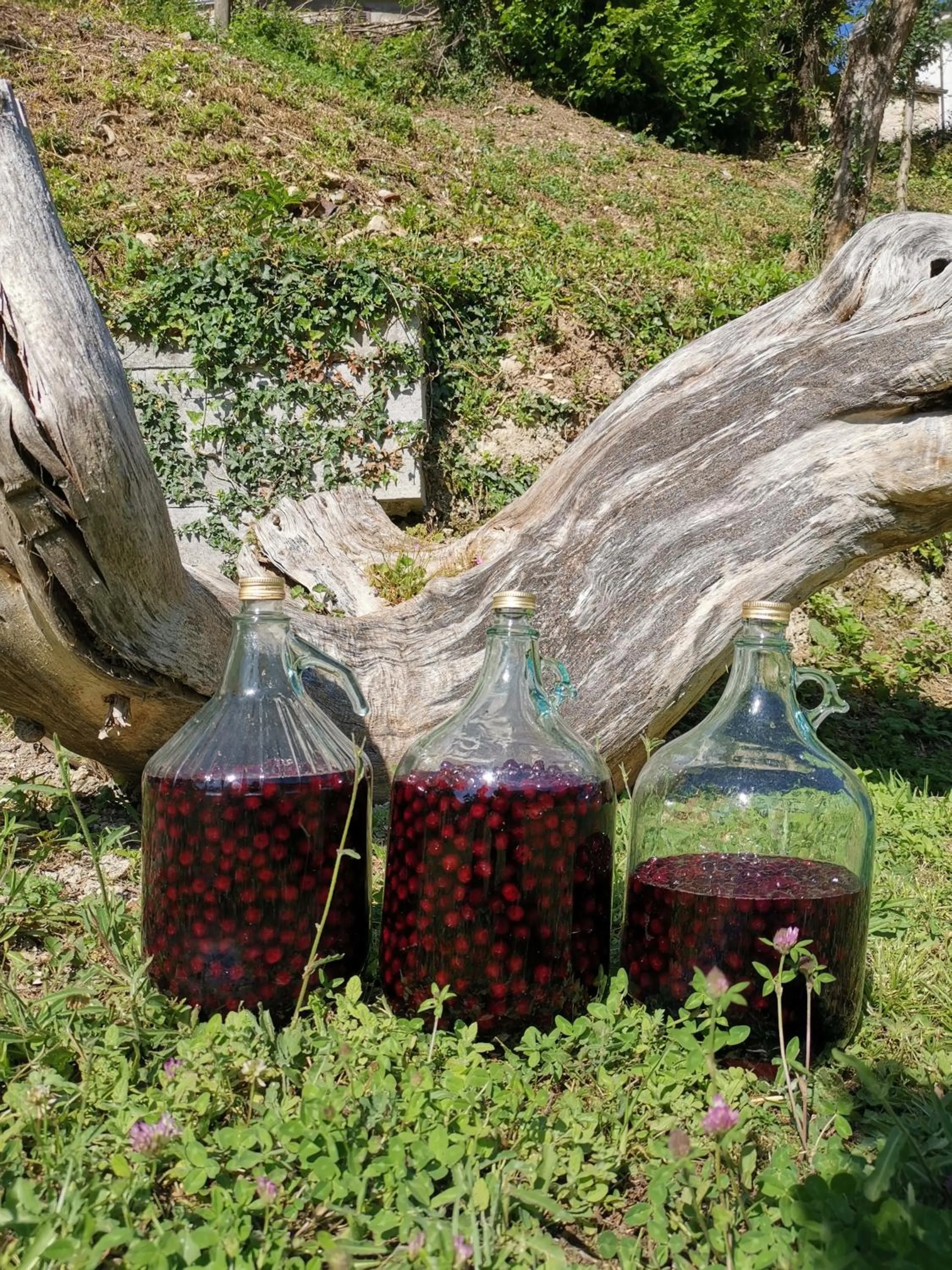 Bed & Breakfast SENTIERO 54