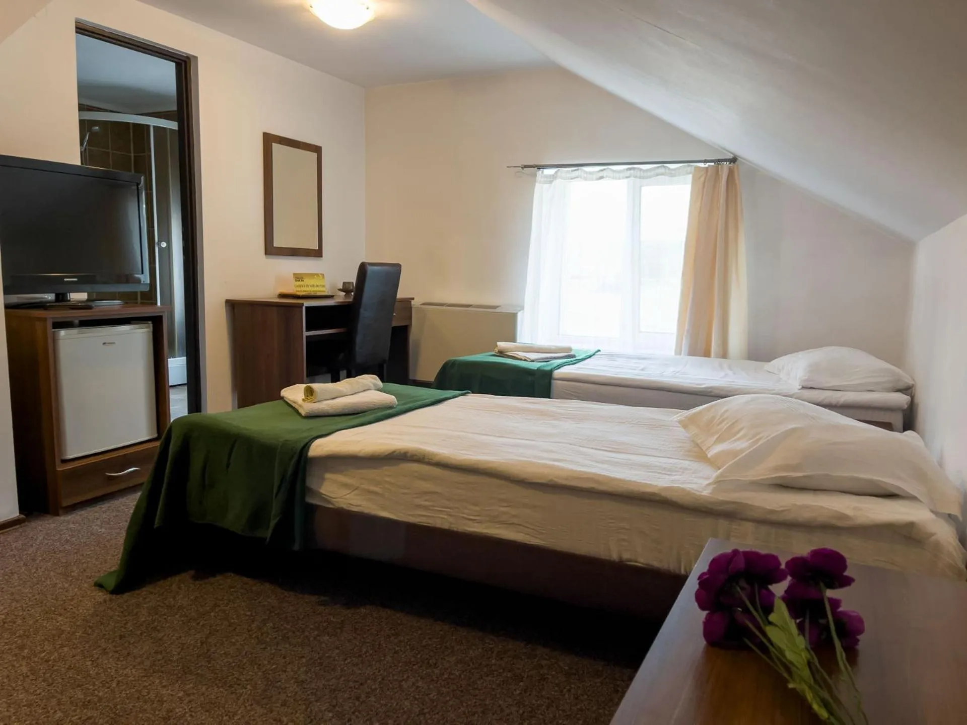 Bed in Pensiunea Dacia Deva