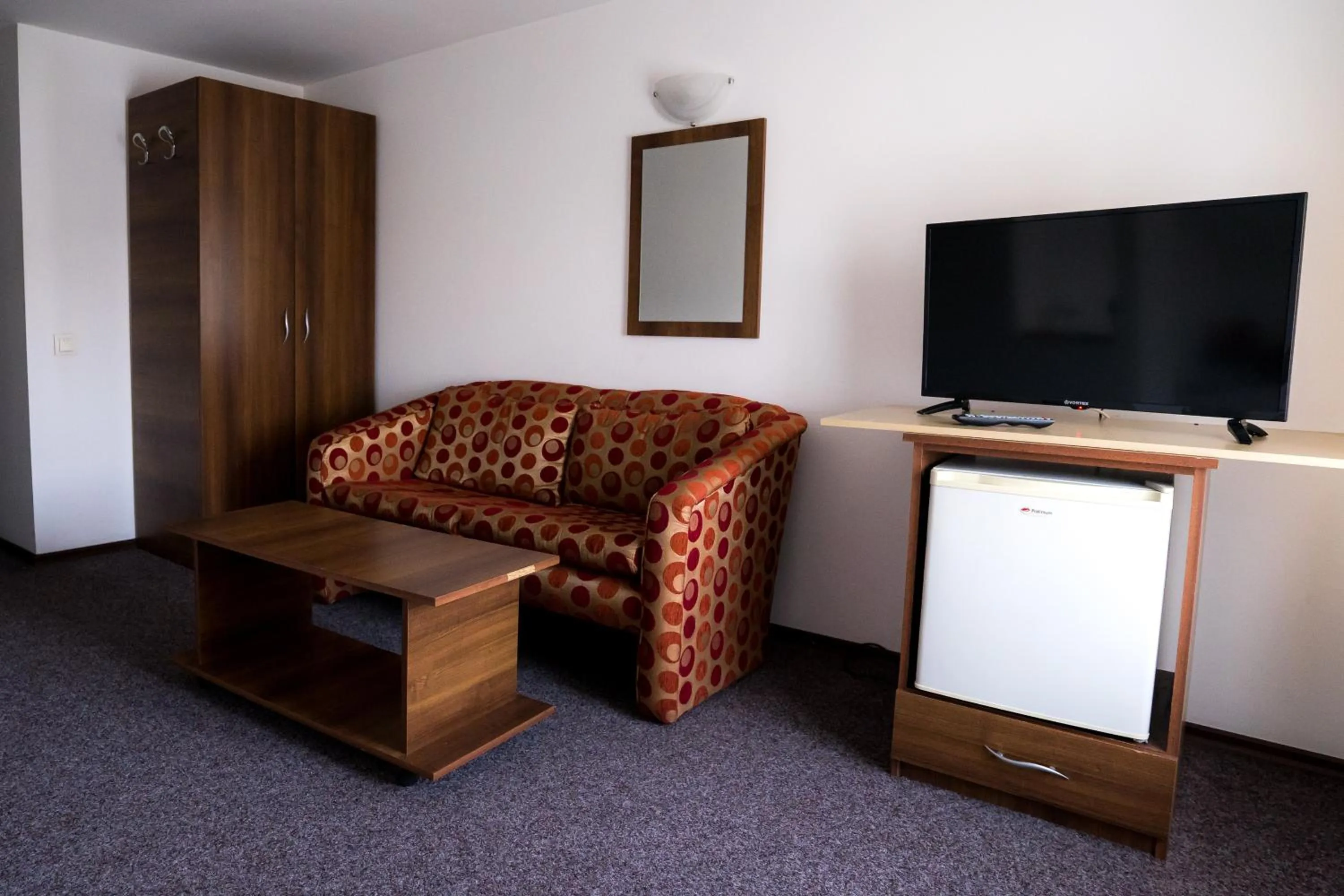 TV and multimedia in Pensiunea Dacia Deva