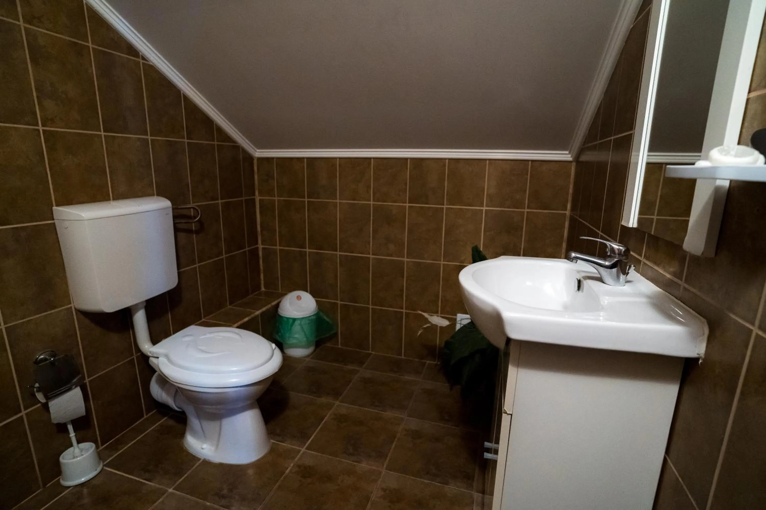 Bathroom in Pensiunea Dacia Deva