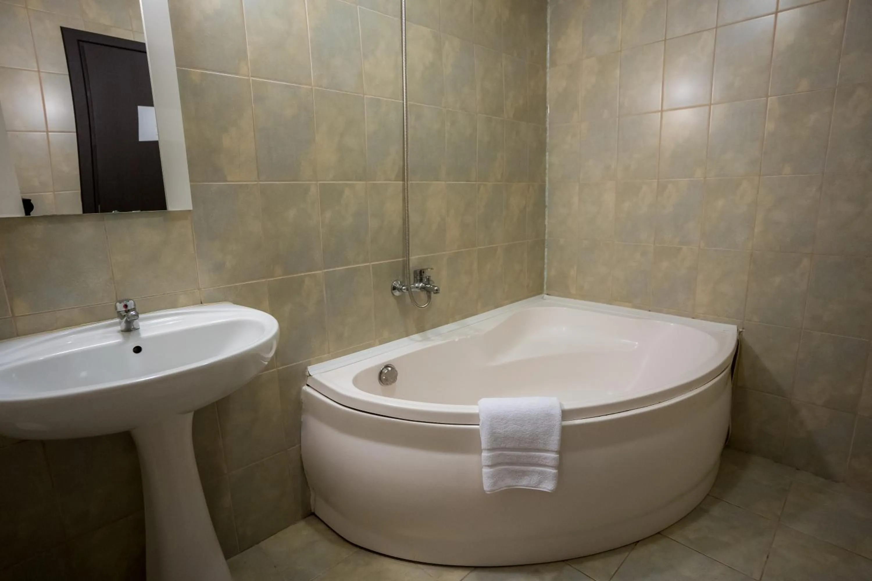 Bathroom in Pensiunea Dacia Deva