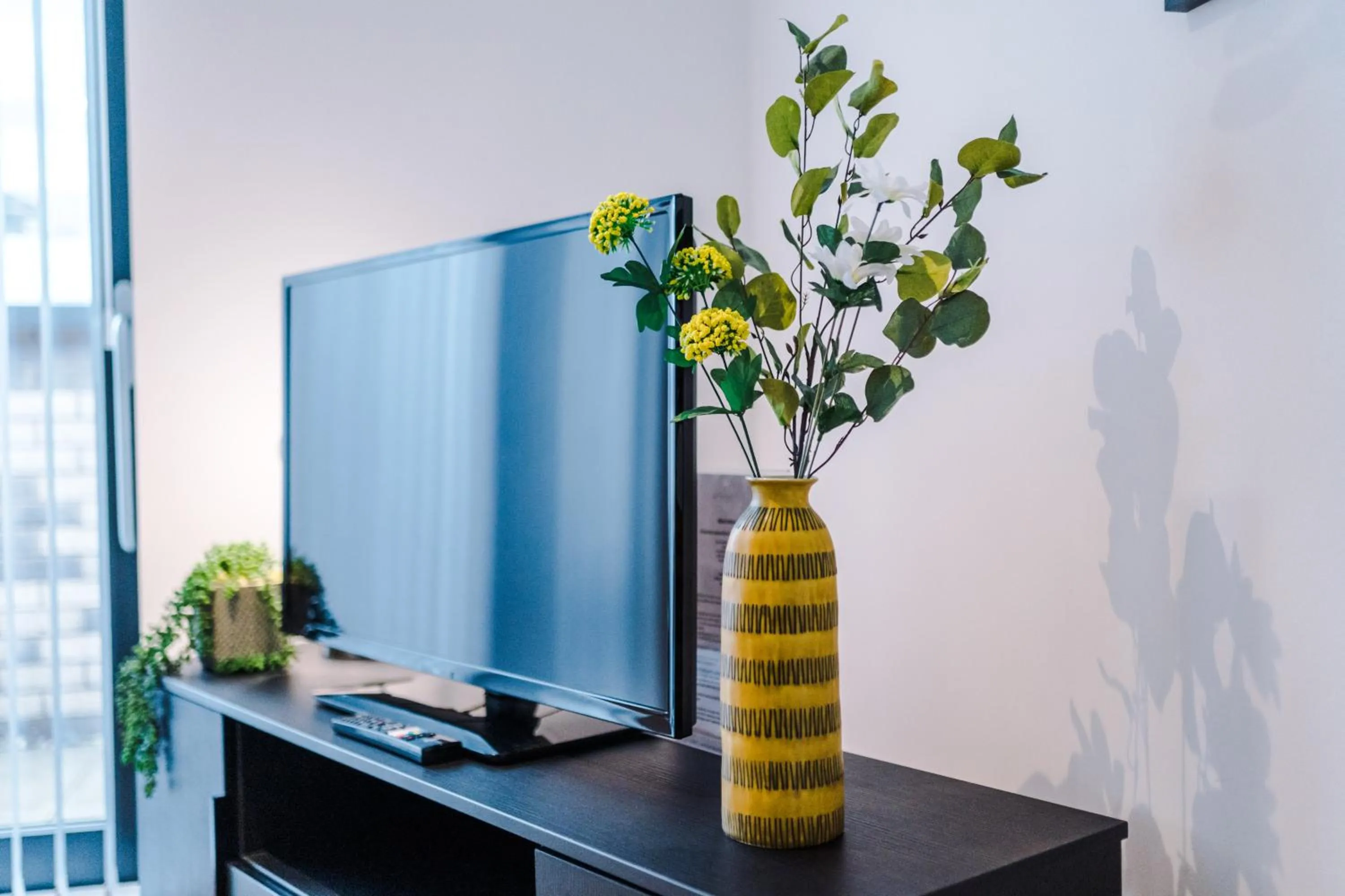 TV and multimedia in Hilltop Serviced Apartments - Piccadilly