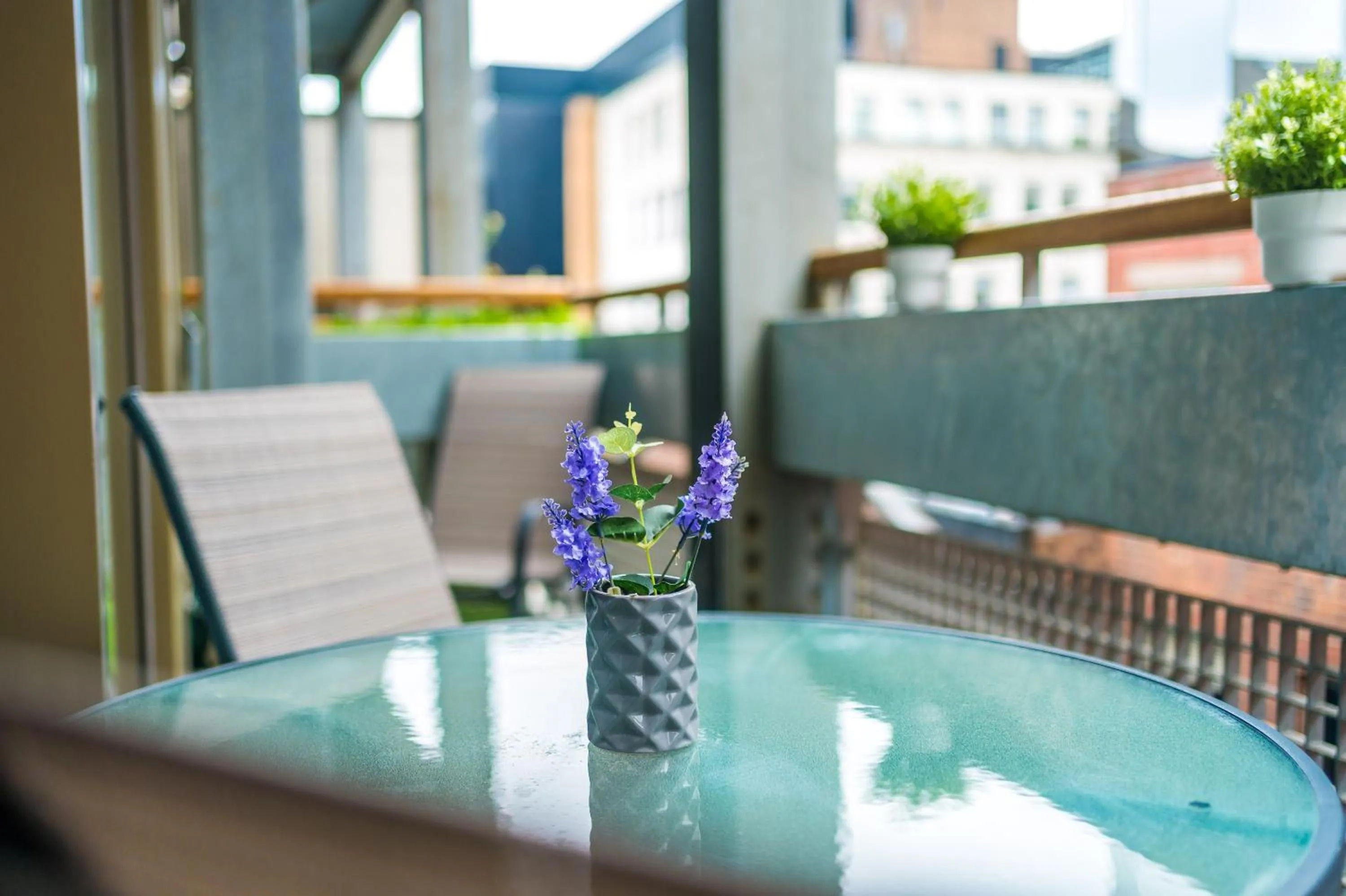 Day in Hilltop Serviced Apartments - Piccadilly