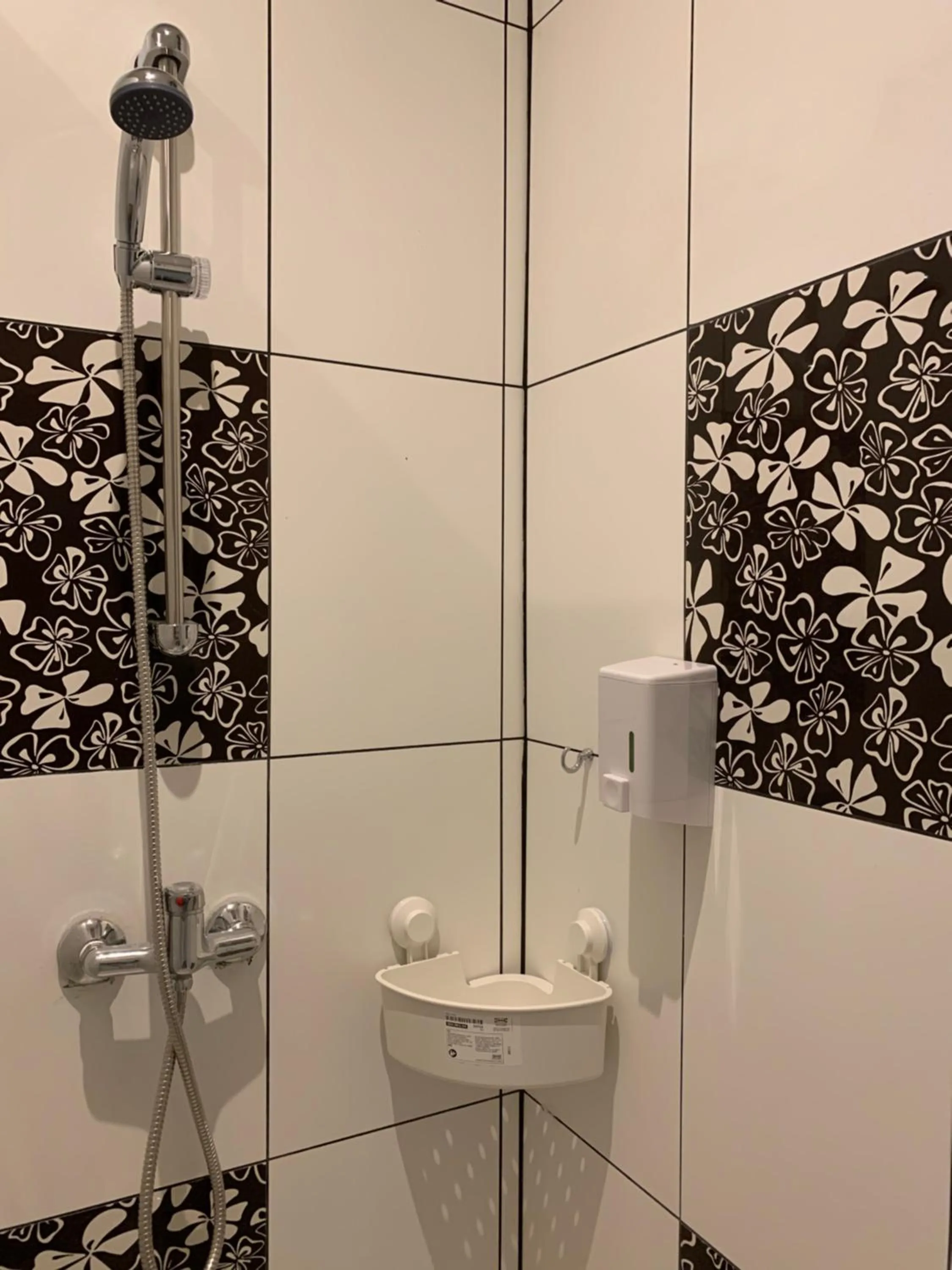 Shower in VIKI Kazimierz