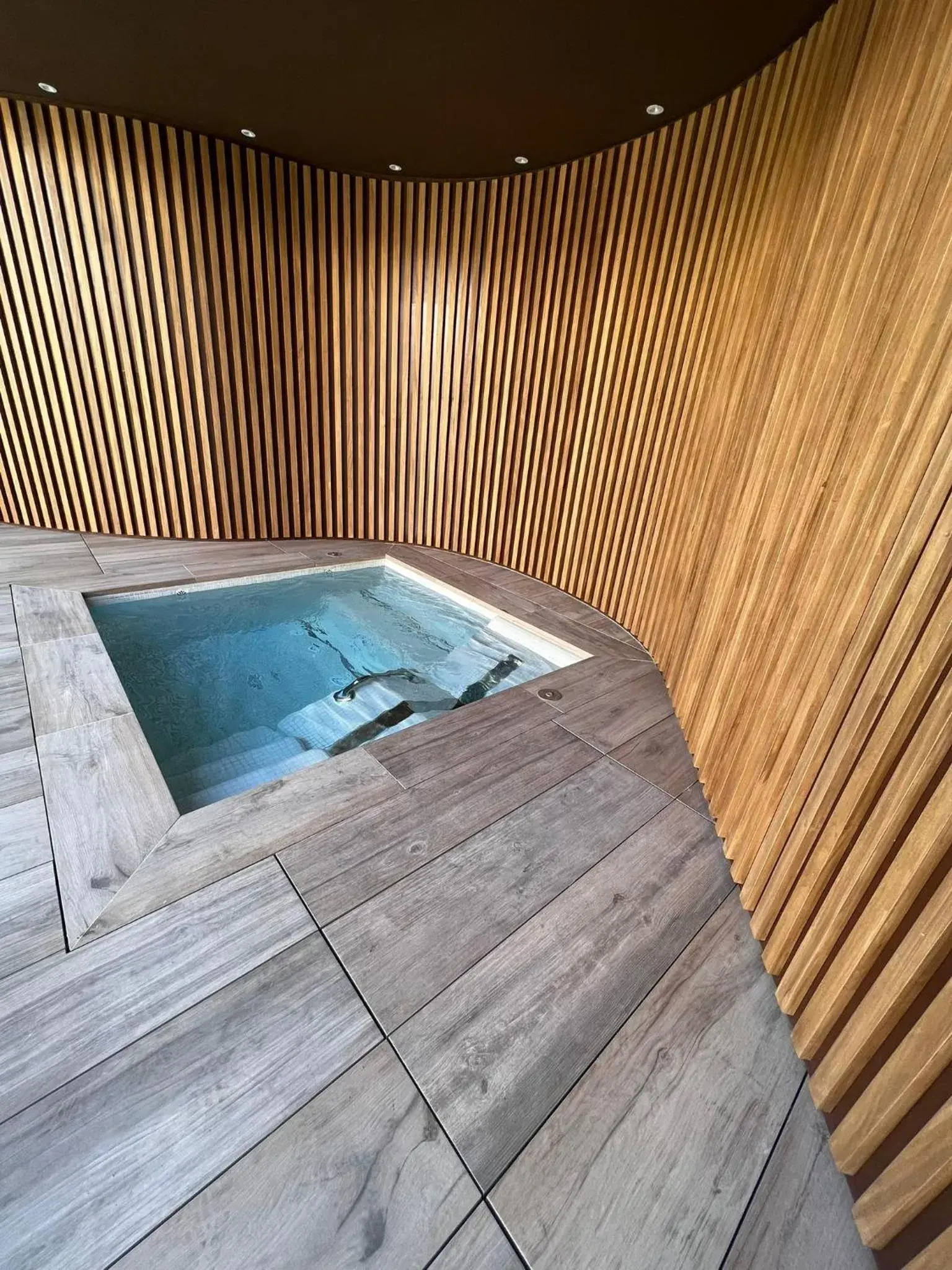 Swimming pool in Ansares Hotel Swimming pool in Ansares Hotel