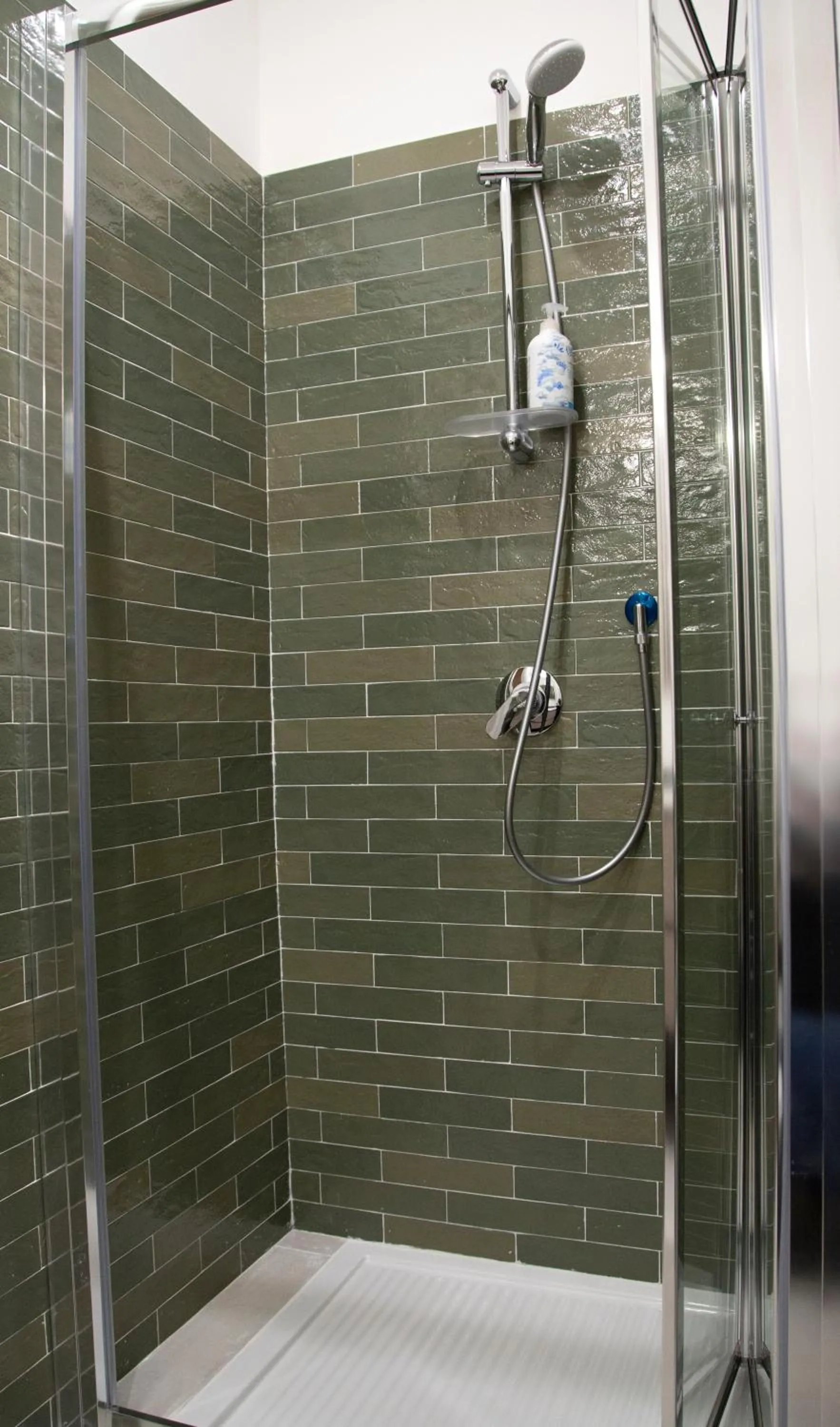 Shower in Handmade Rest Room