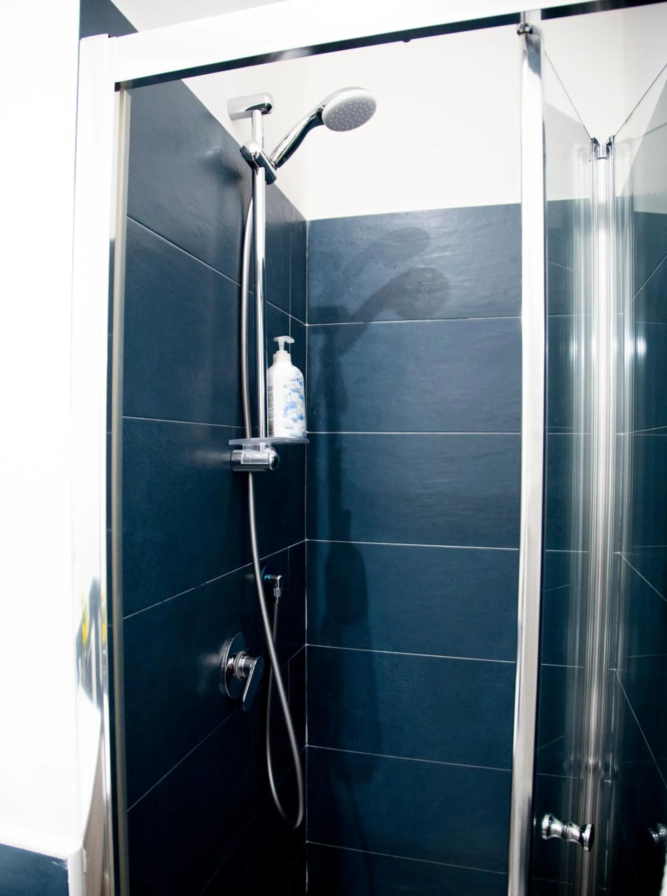 Shower in Handmade Rest Room