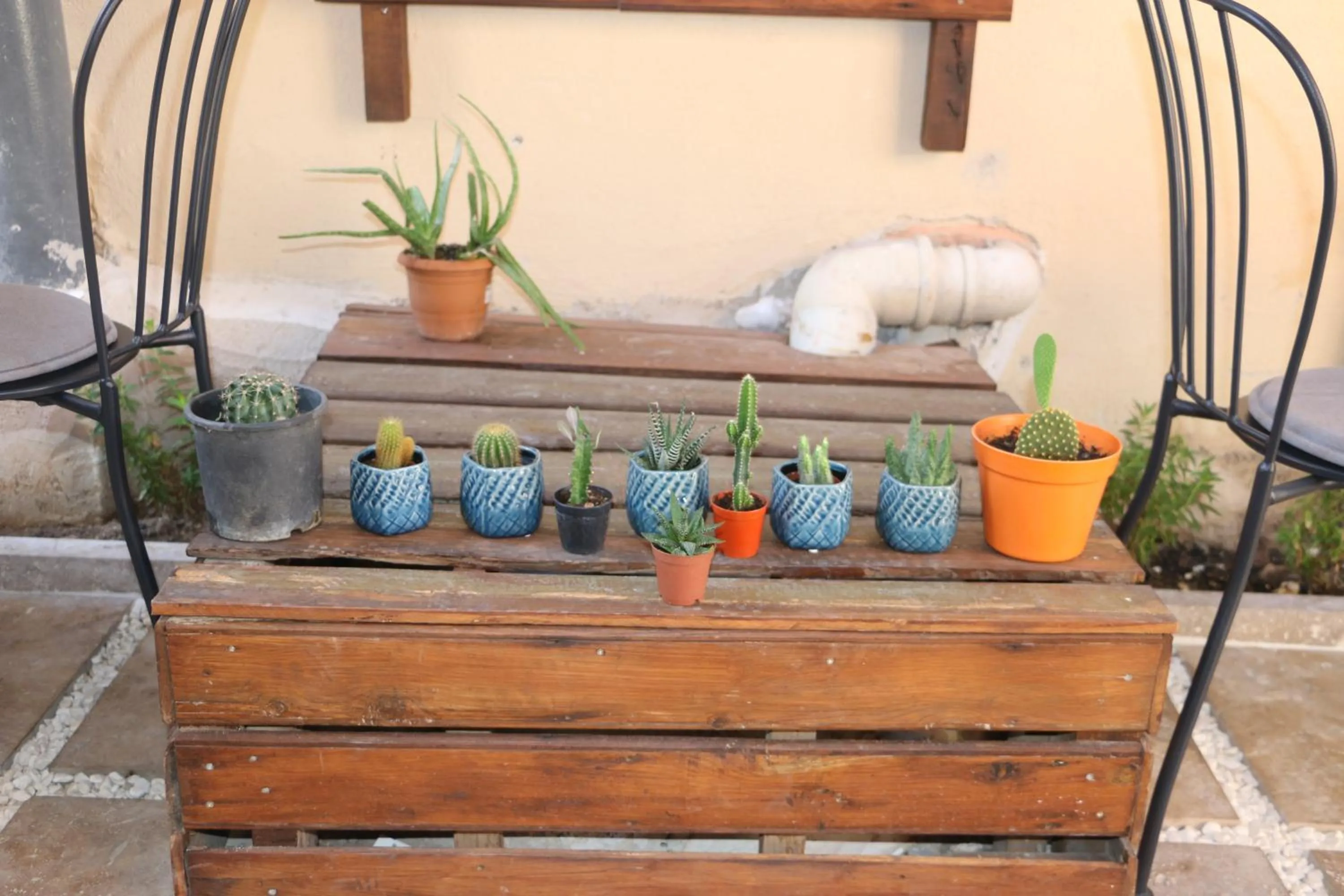 Inner courtyard view in La Casa Carina
