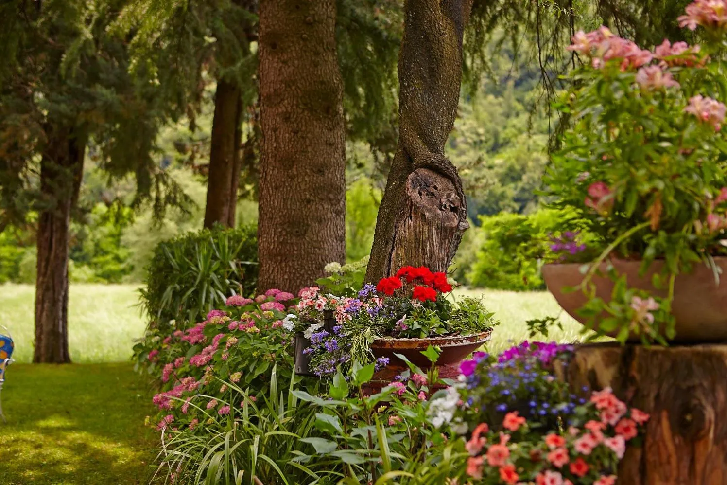 La Vecchia Latteria - B & B