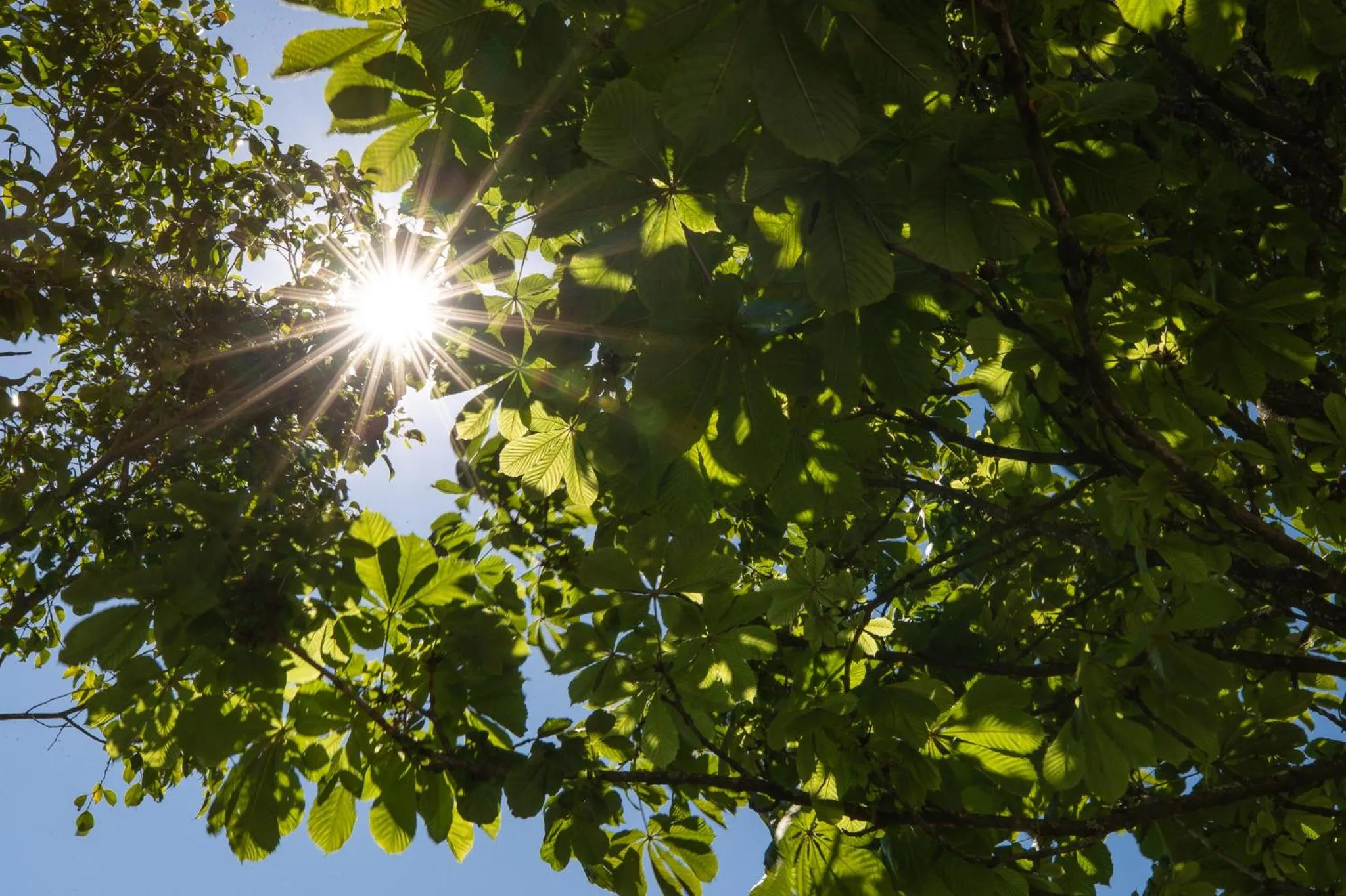 Natural landscape in Gallery Townhouse & Home