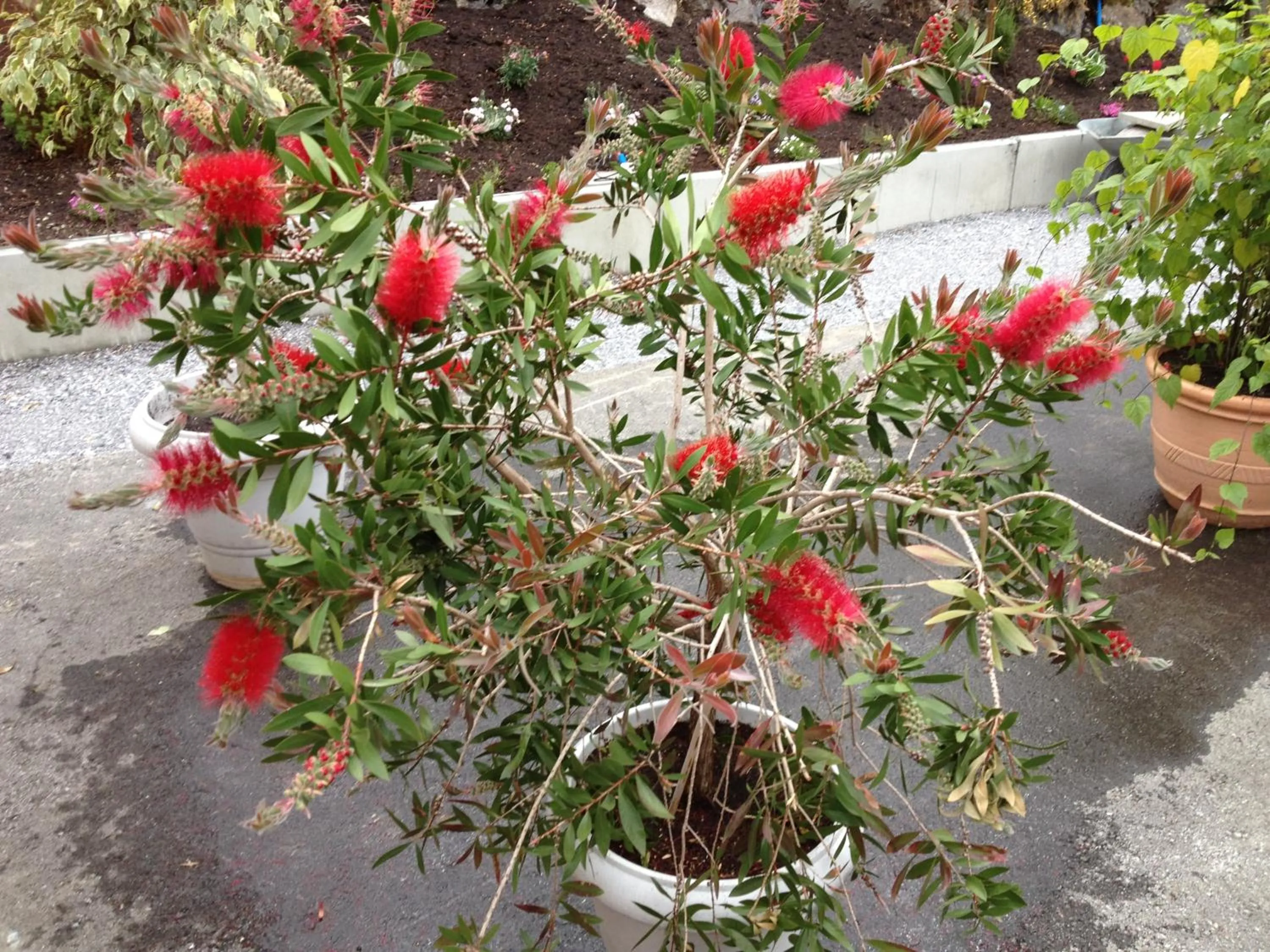 Decorative detail in Vista Resort Hotel