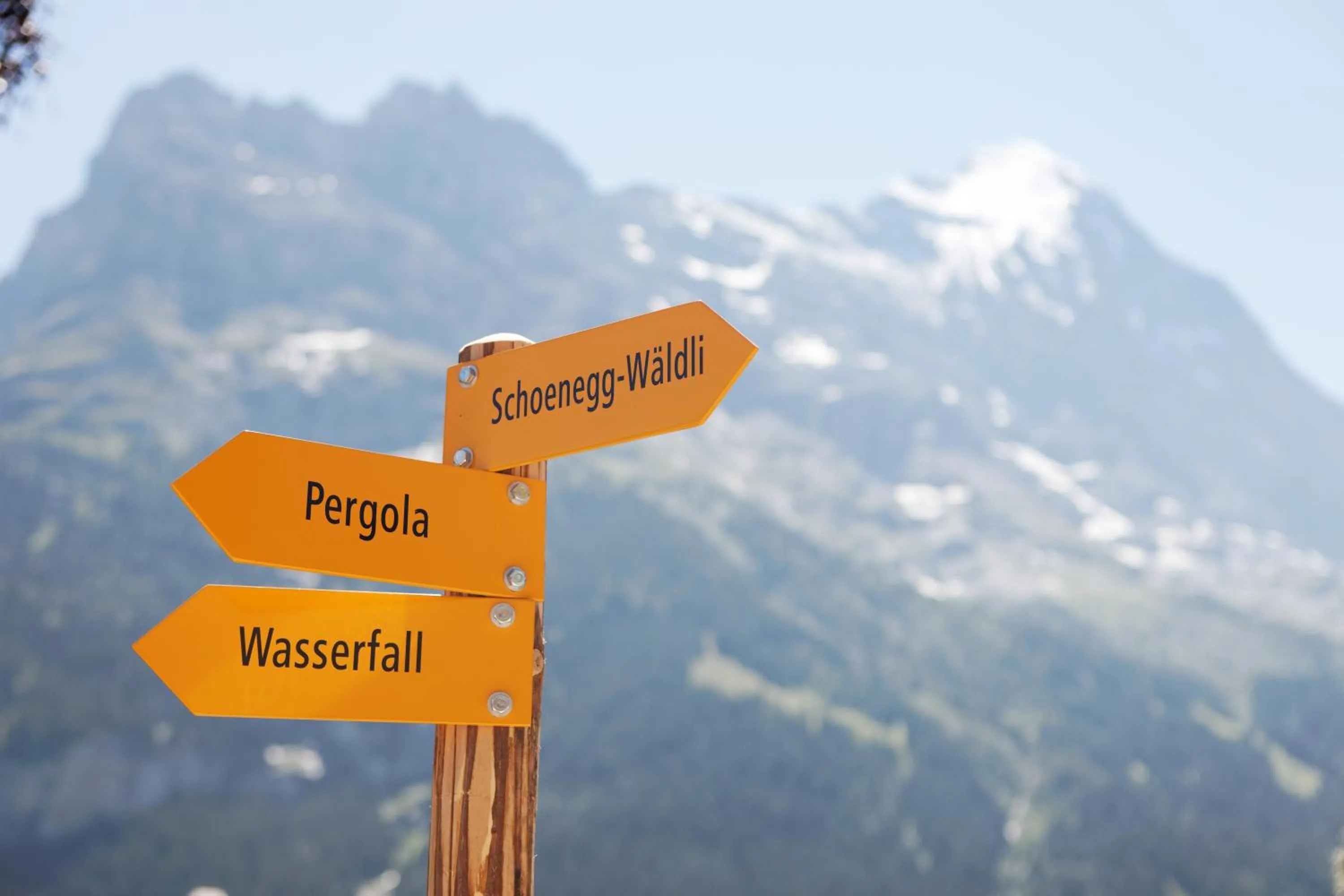 Natural landscape in Parkhotel Schoenegg