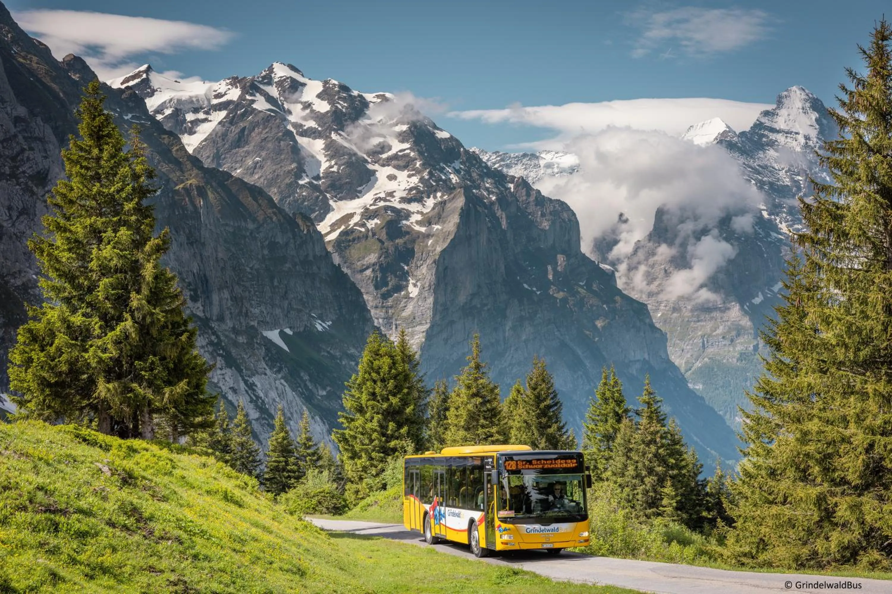 Natural landscape in Parkhotel Schoenegg