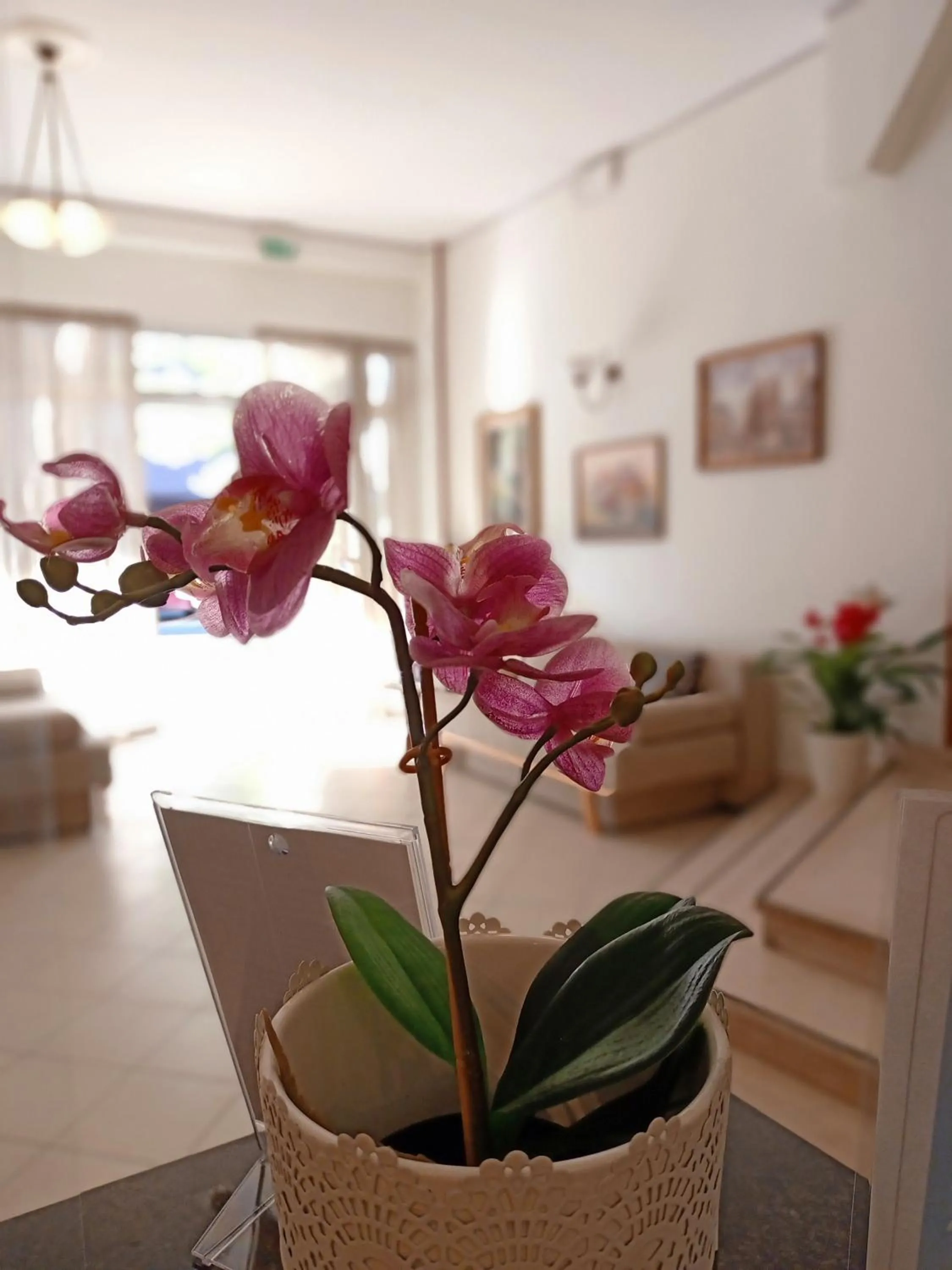 Lobby or reception in Hotel Rossella