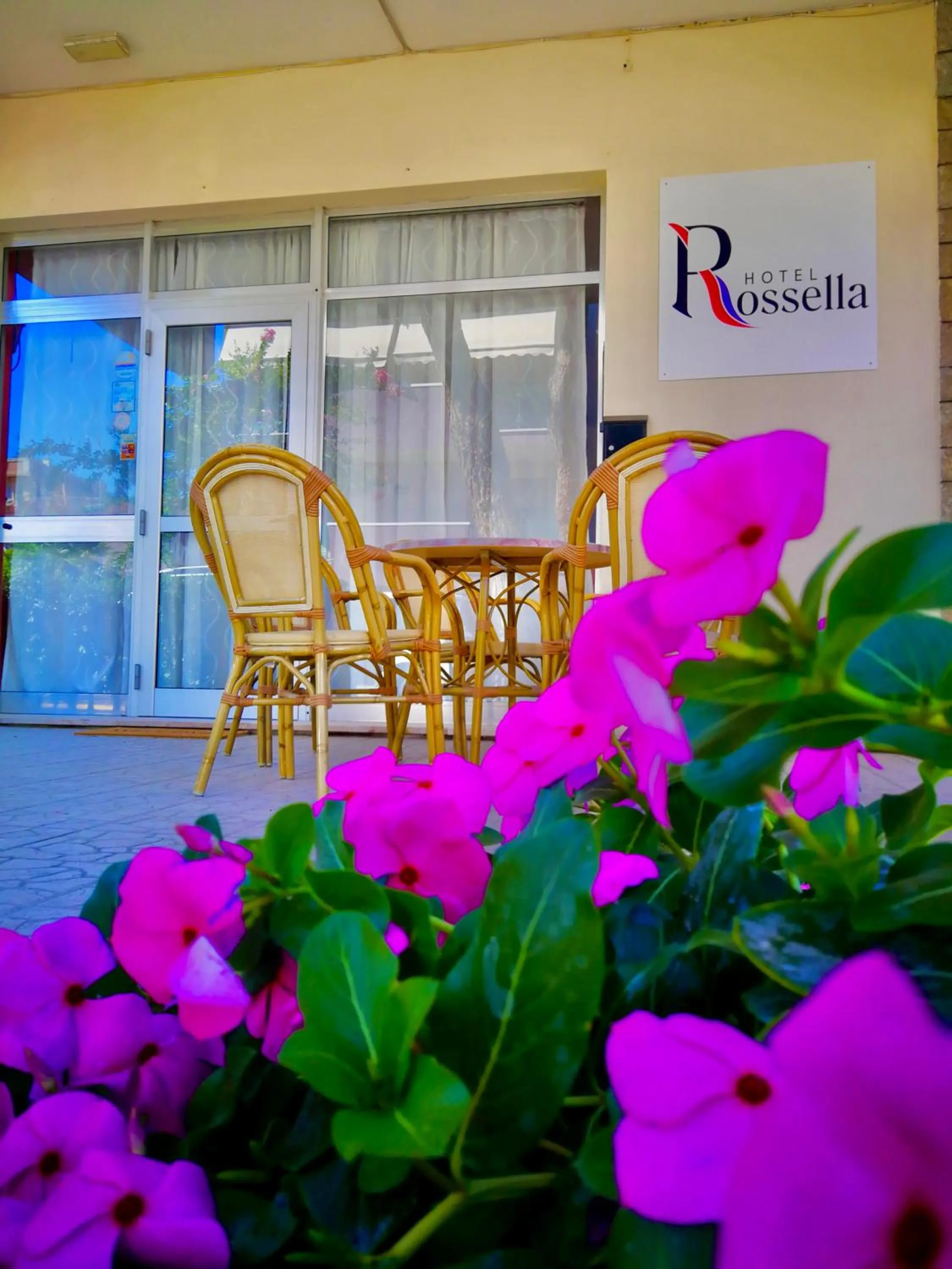 Patio in Hotel Rossella
