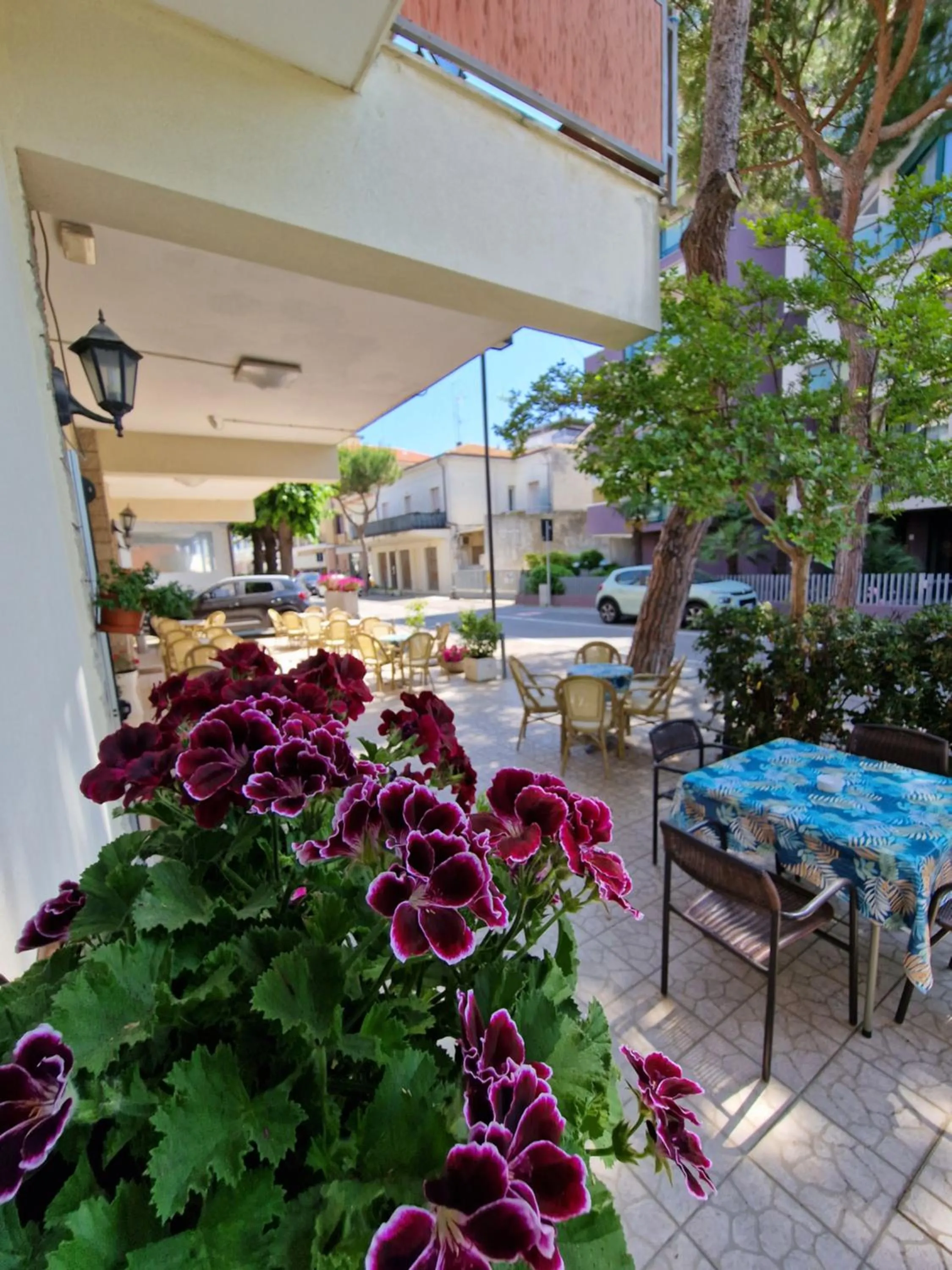 Patio in Hotel Rossella