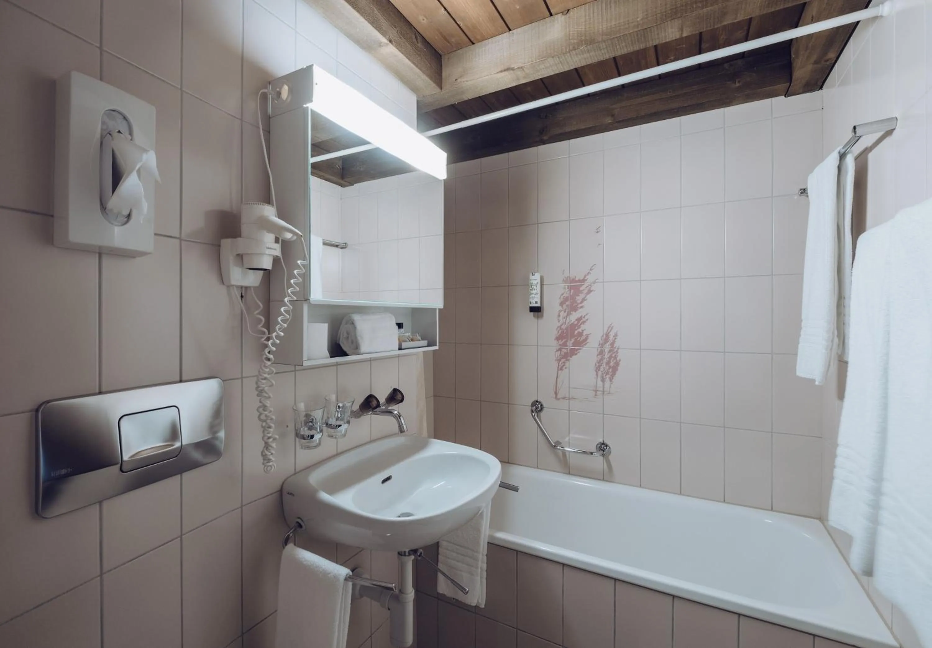 Toilet in Hotel Chalet Swiss