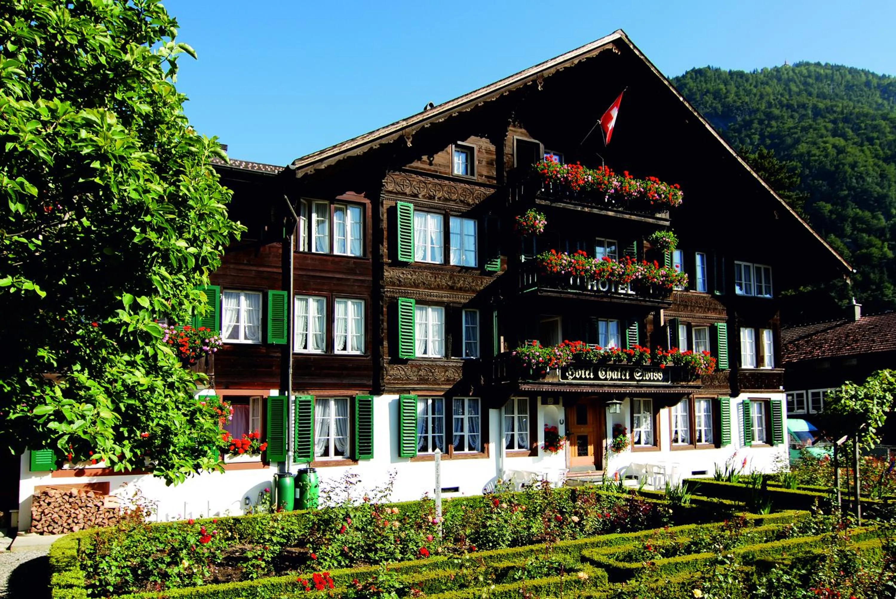 Area and facilities in Hotel Chalet Swiss