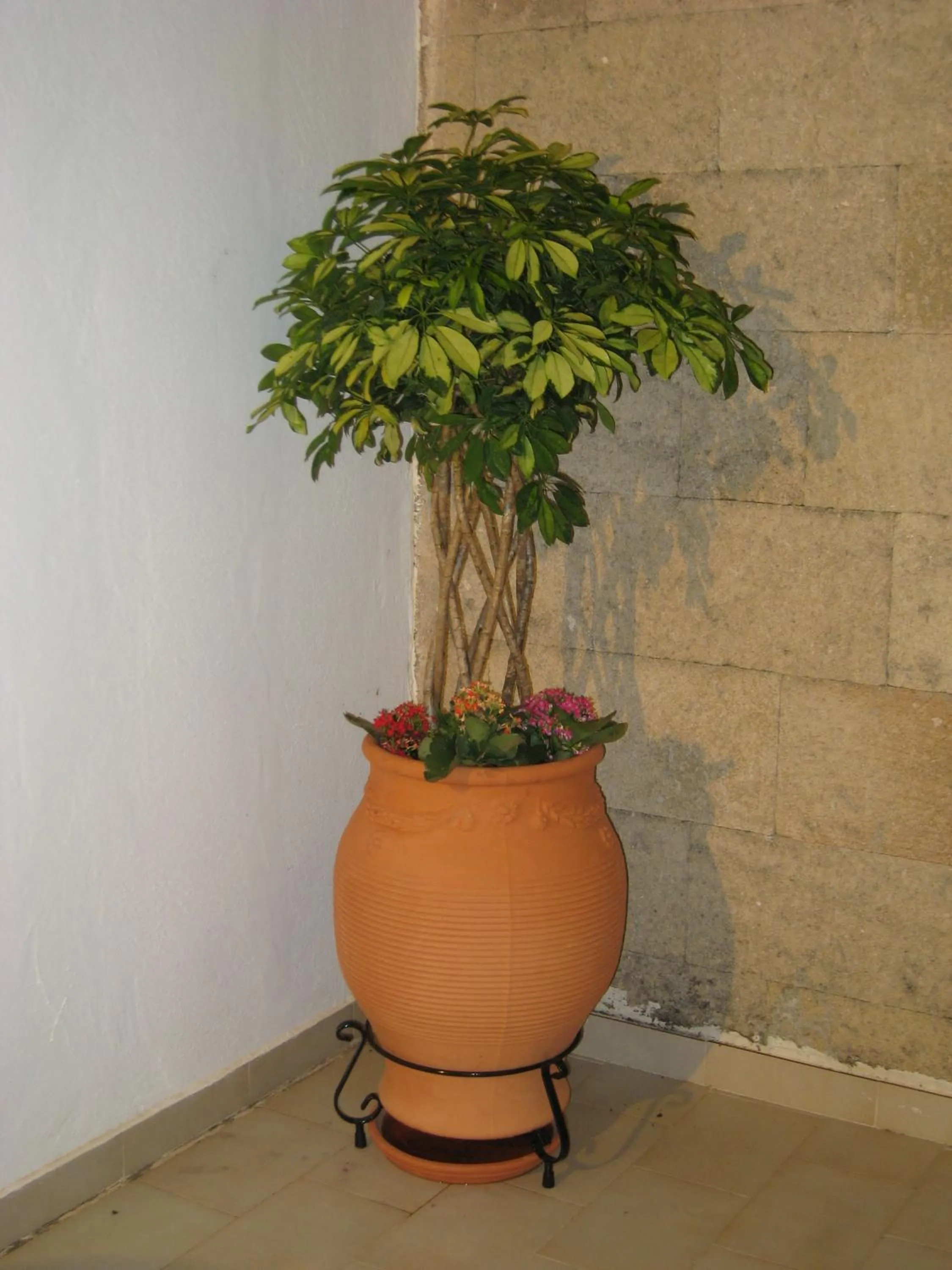 Eleftheria Lindian Studios II