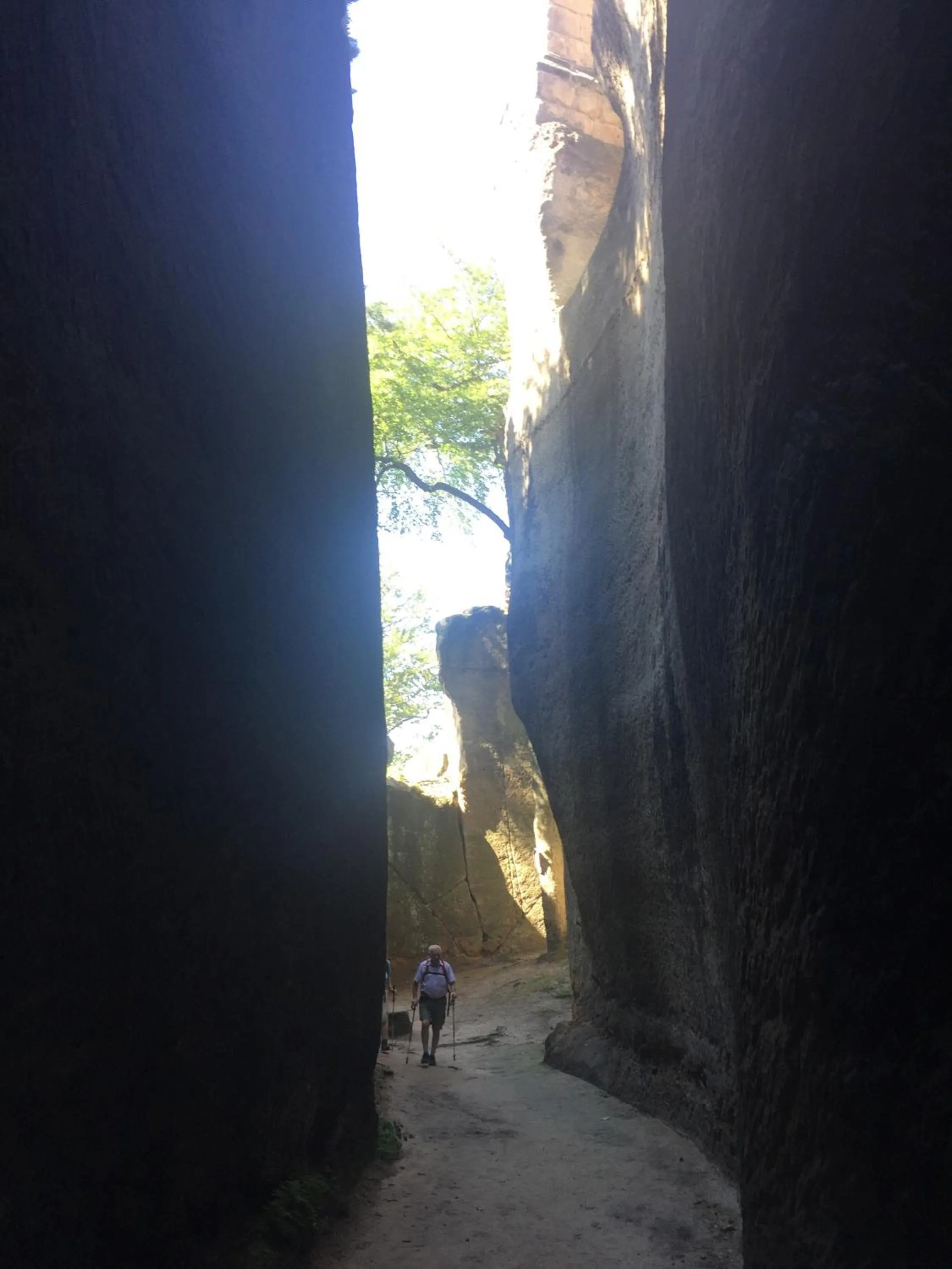 Natural landscape in Hotel BB Bahnhof Bertsdorf