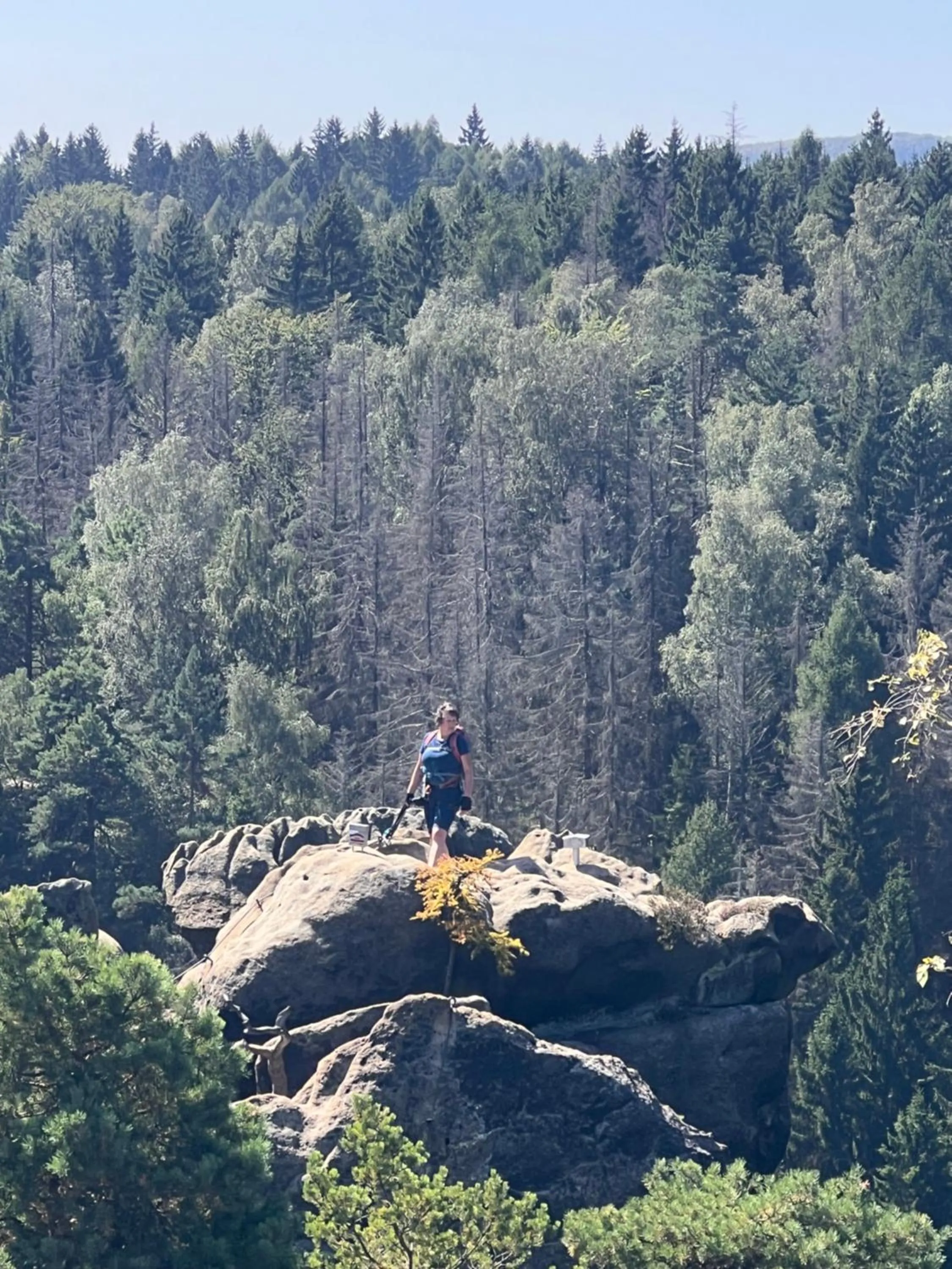 Hotel BB Bahnhof Bertsdorf