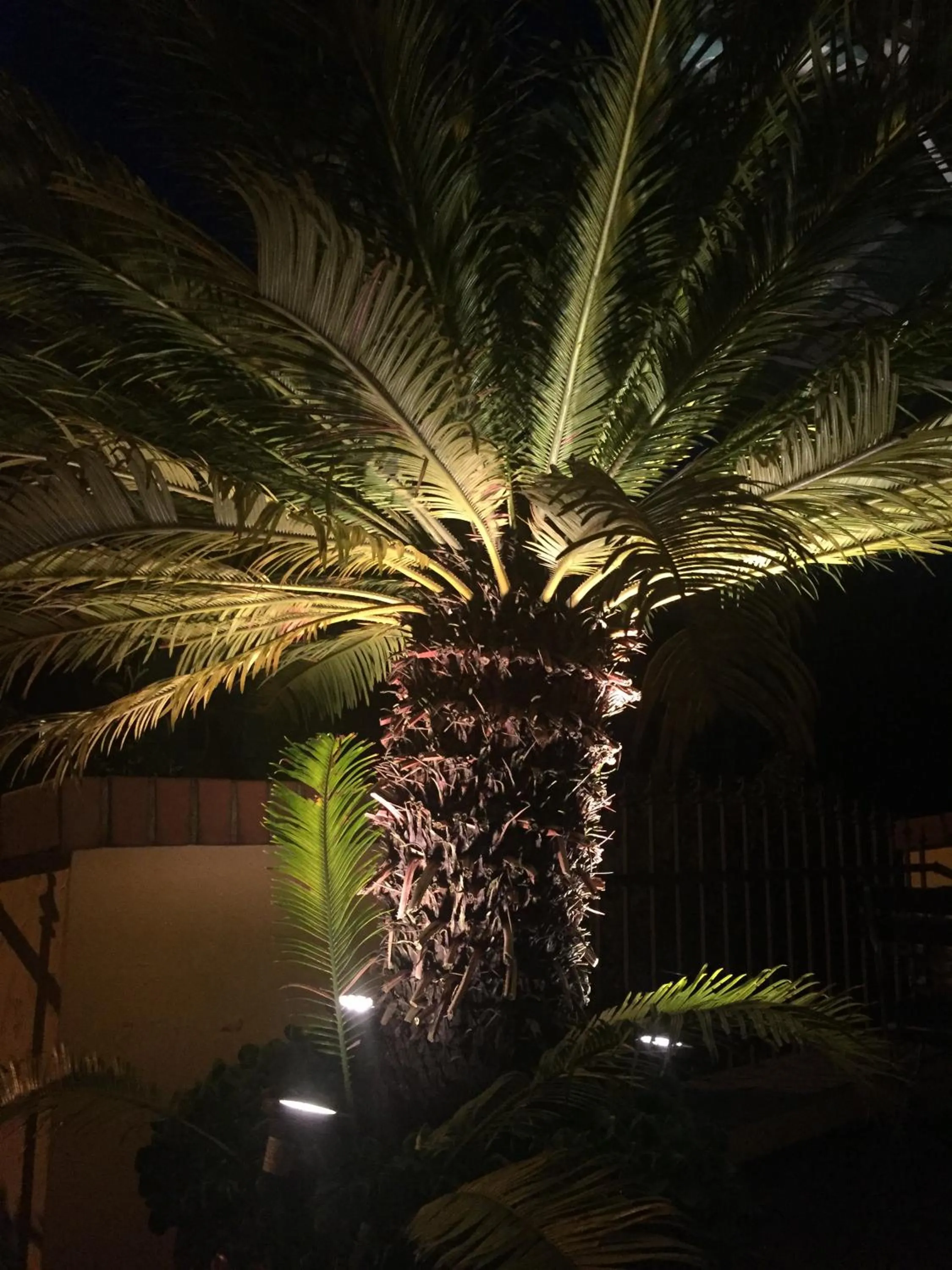 Balcony/Terrace in Hotel BB Bahnhof Bertsdorf