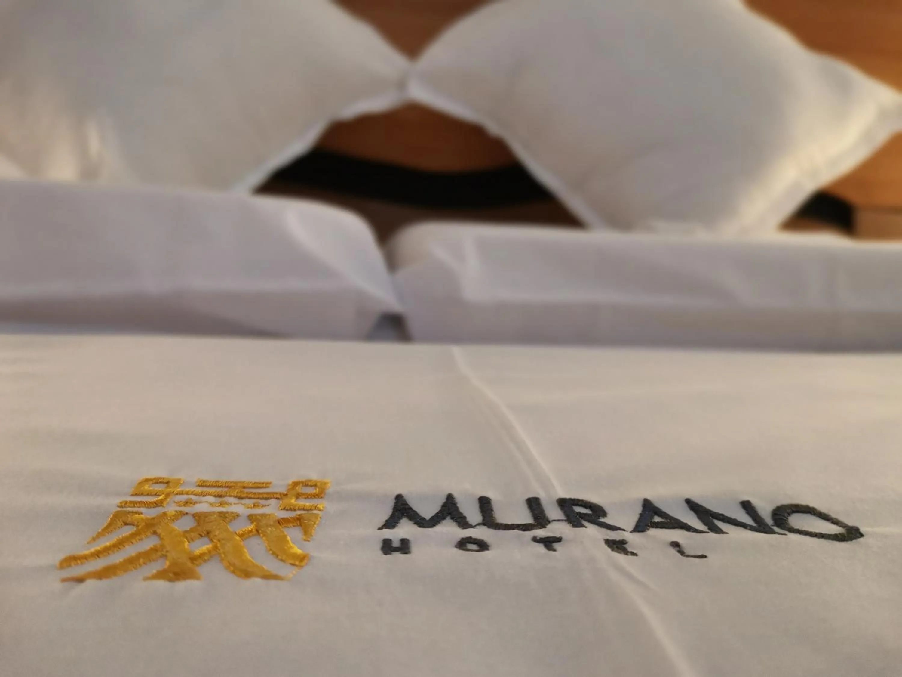 Murano Hotel