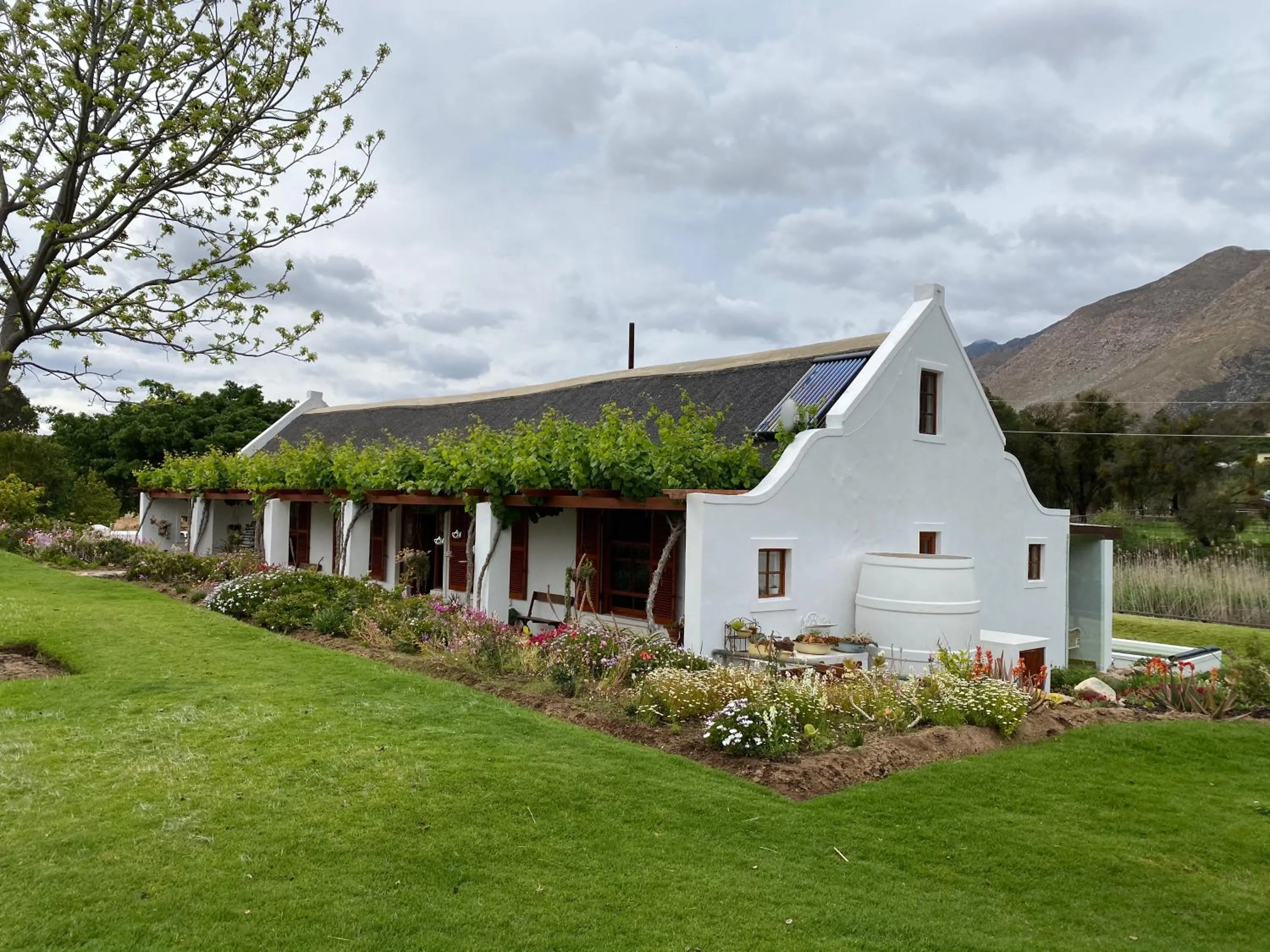 Alpaca Inn