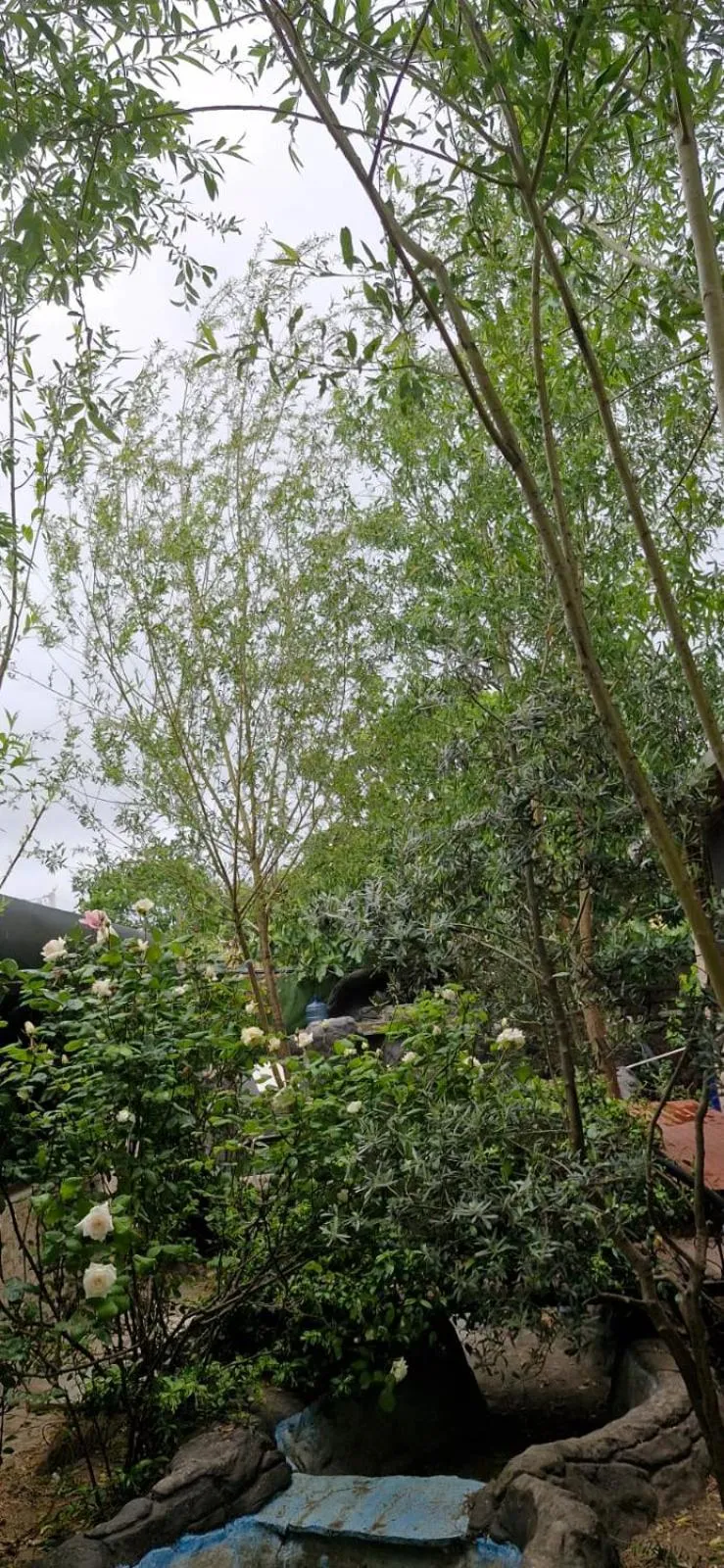 Royal Park Hotel Corlu Bed and Breakfast