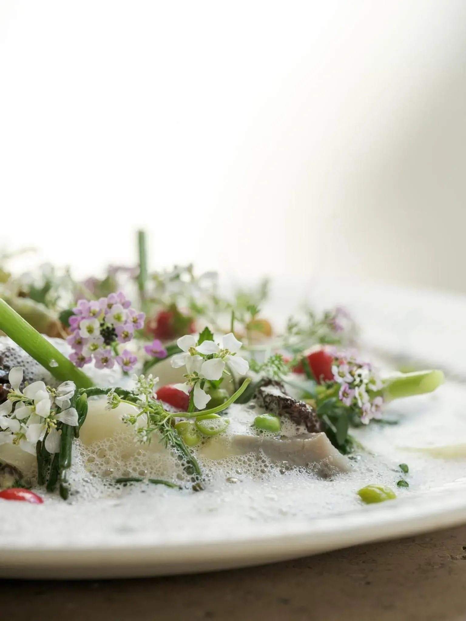 Restaurant/places to eat in Botanic Sanctuary Antwerp - The Leading Hotels of the World Restaurant/places to eat in Botanic Sanctuary Antwerp - The Leading Hotels of the World