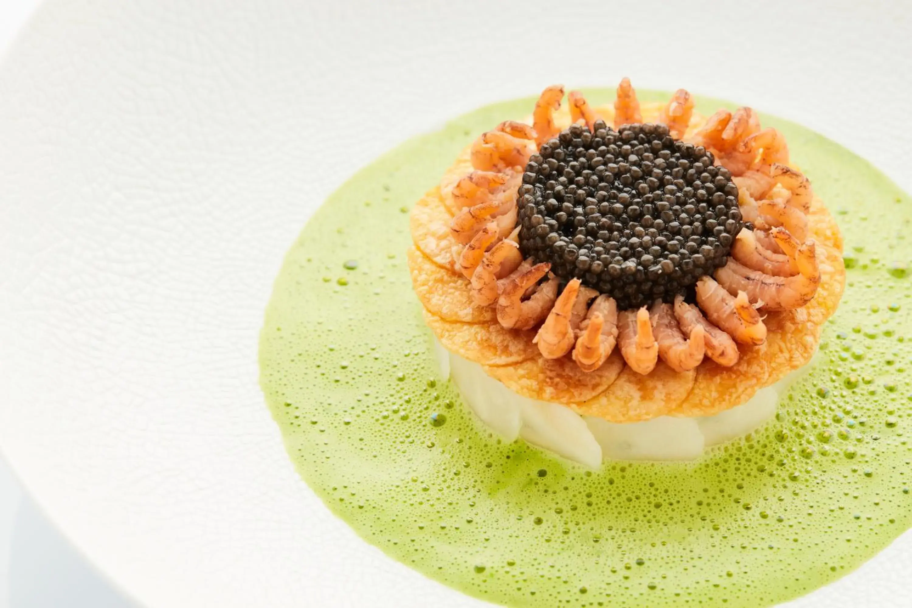 Restaurant/places to eat in Botanic Sanctuary Antwerp - The Leading Hotels of the World Restaurant/places to eat in Botanic Sanctuary Antwerp - The Leading Hotels of the World