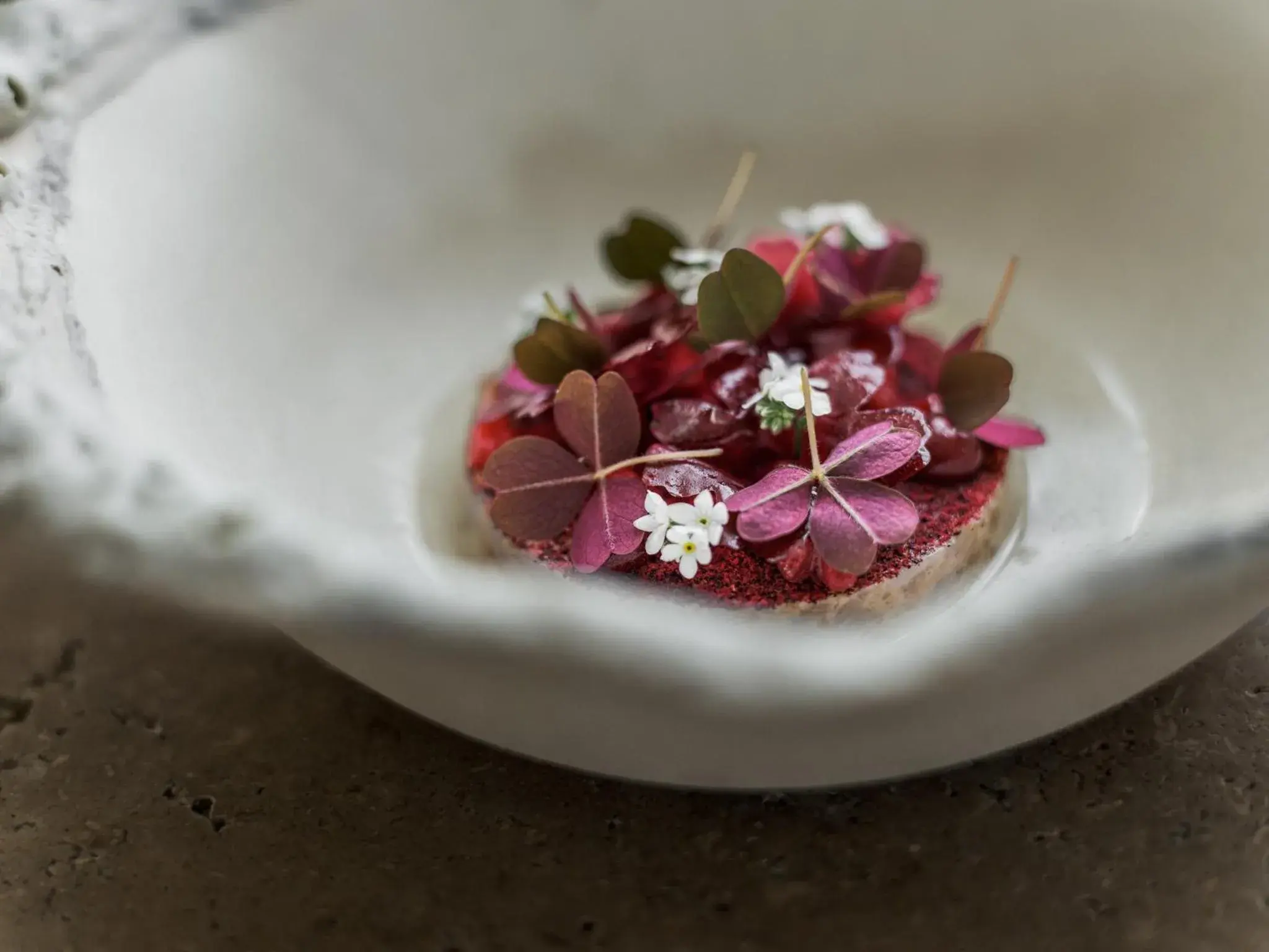 Restaurant/places to eat in Botanic Sanctuary Antwerp - The Leading Hotels of the World Restaurant/places to eat in Botanic Sanctuary Antwerp - The Leading Hotels of the World