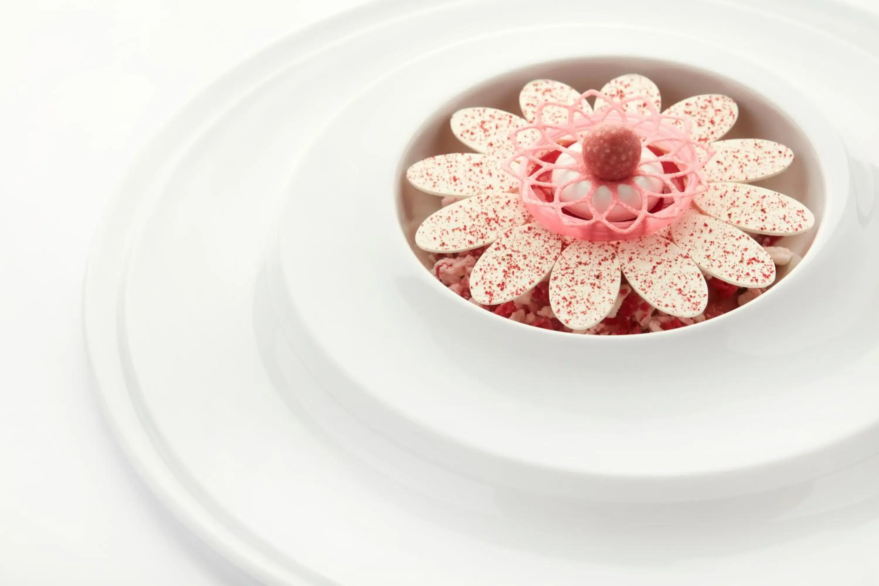 Restaurant/places to eat in Botanic Sanctuary Antwerp - The Leading Hotels of the World Restaurant/places to eat in Botanic Sanctuary Antwerp - The Leading Hotels of the World