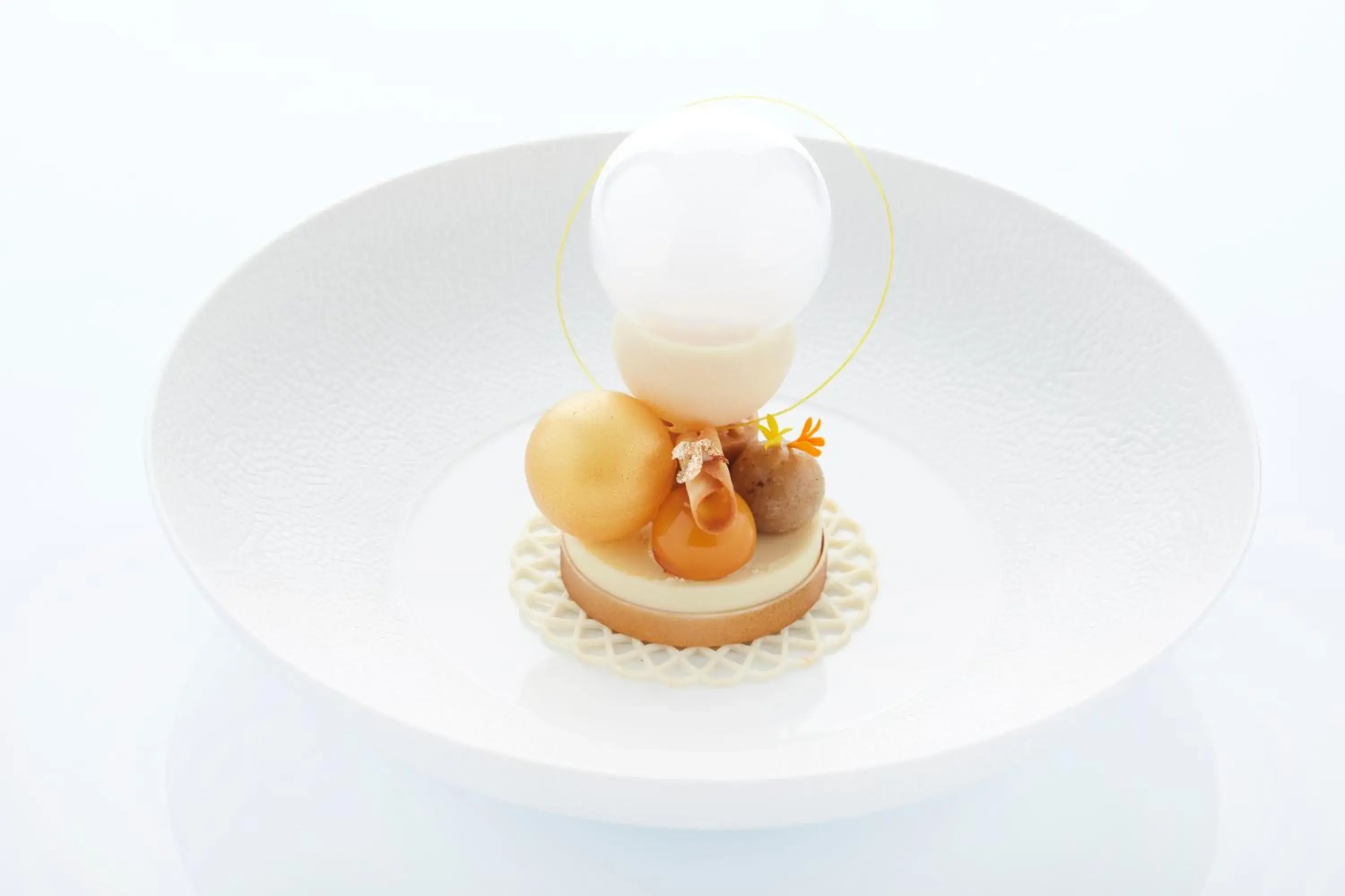 Restaurant/places to eat in Botanic Sanctuary Antwerp - The Leading Hotels of the World Restaurant/places to eat in Botanic Sanctuary Antwerp - The Leading Hotels of the World