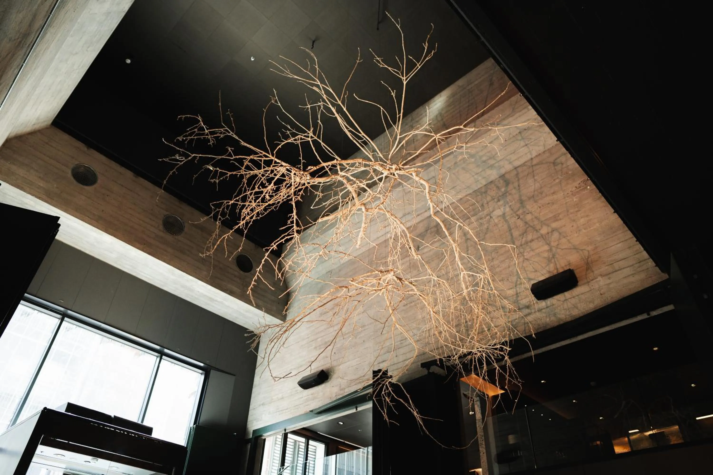 the Socialist, a Tribute Portfolio Hotel