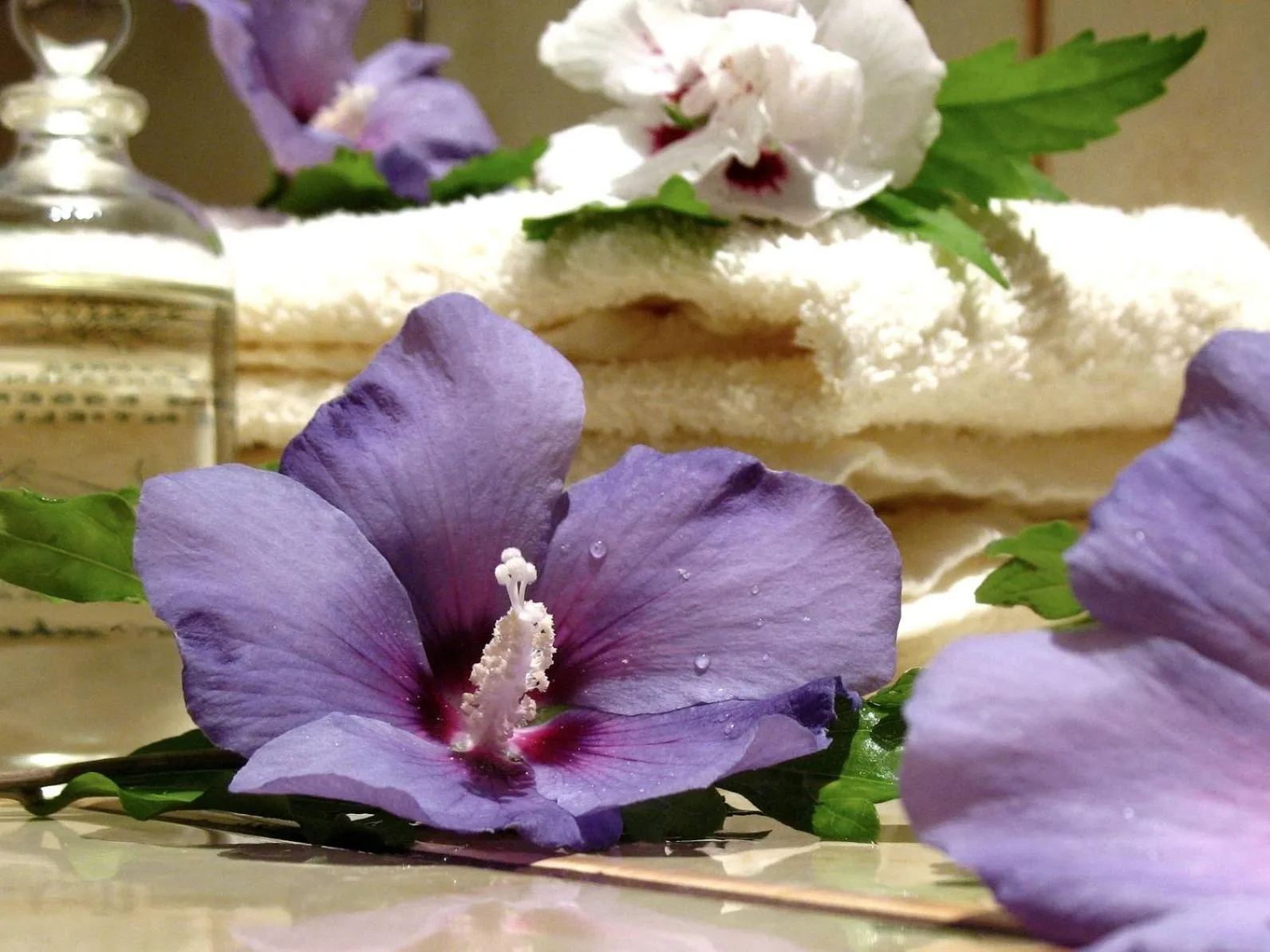 Decorative detail in Apart Hotel Gera