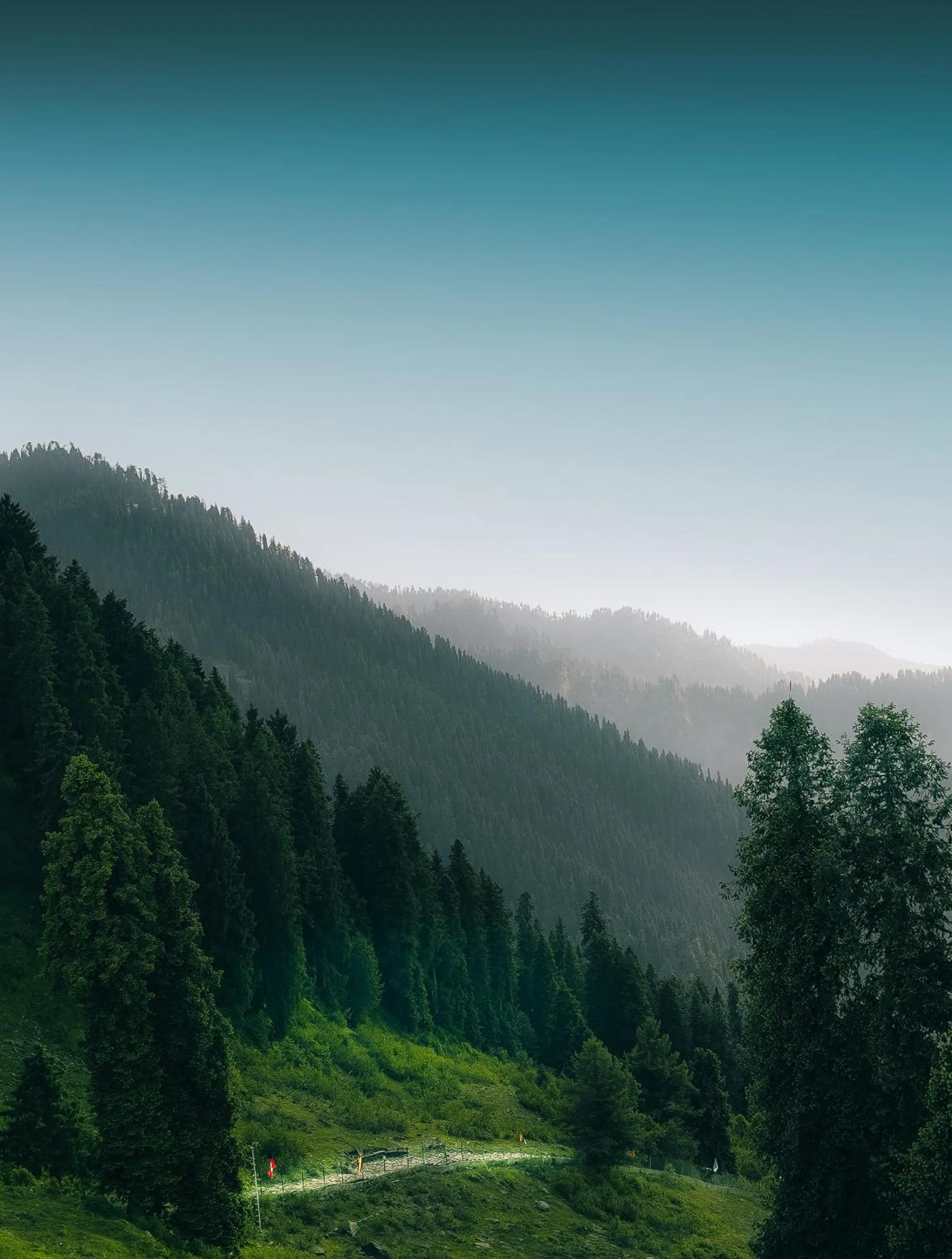 Natural landscape in Pearl Continental Hotel Malam Jabba