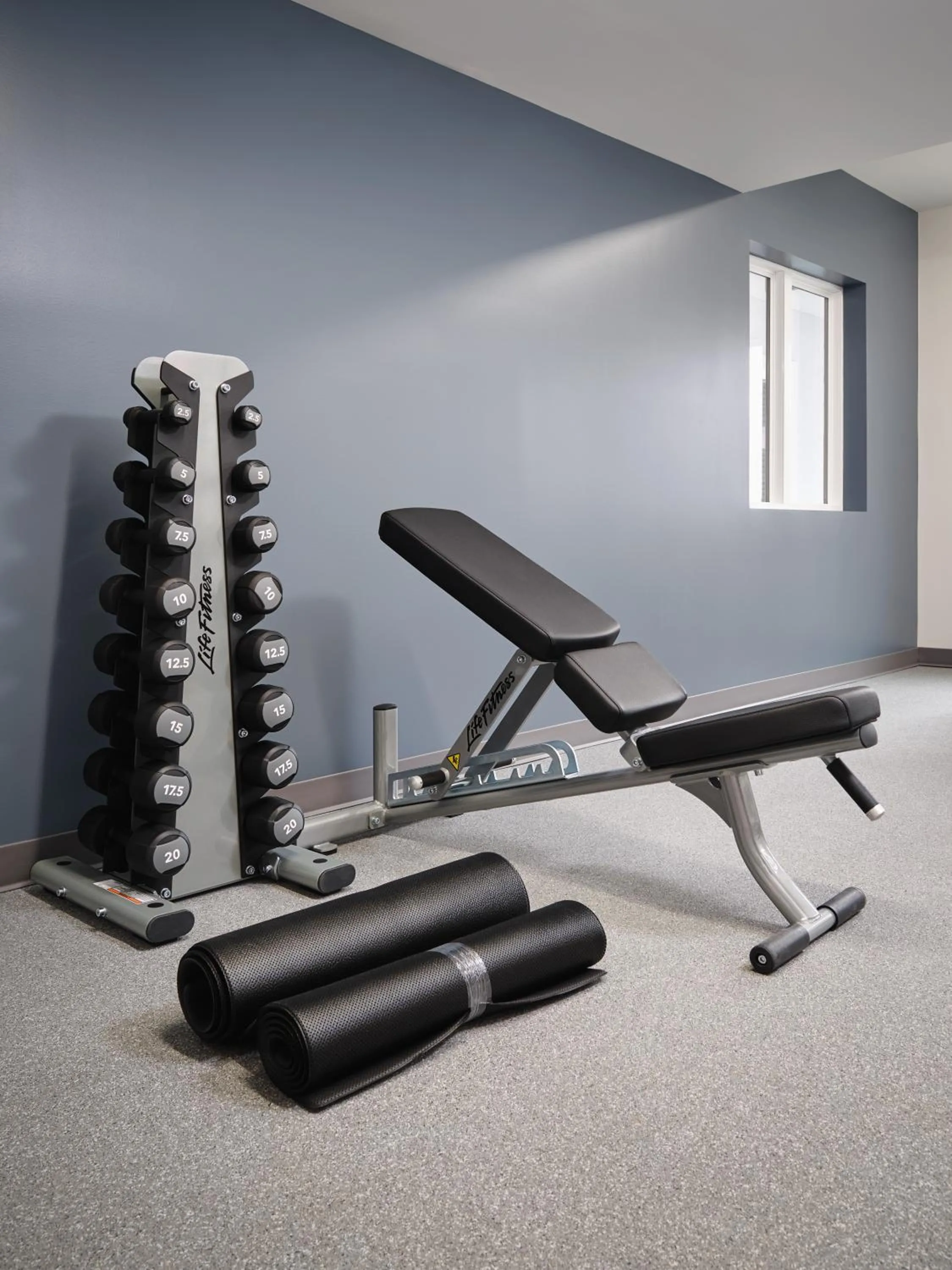 Fitness centre/facilities in stayAPT Suites Goldsboro-Seymour Johnson AFB