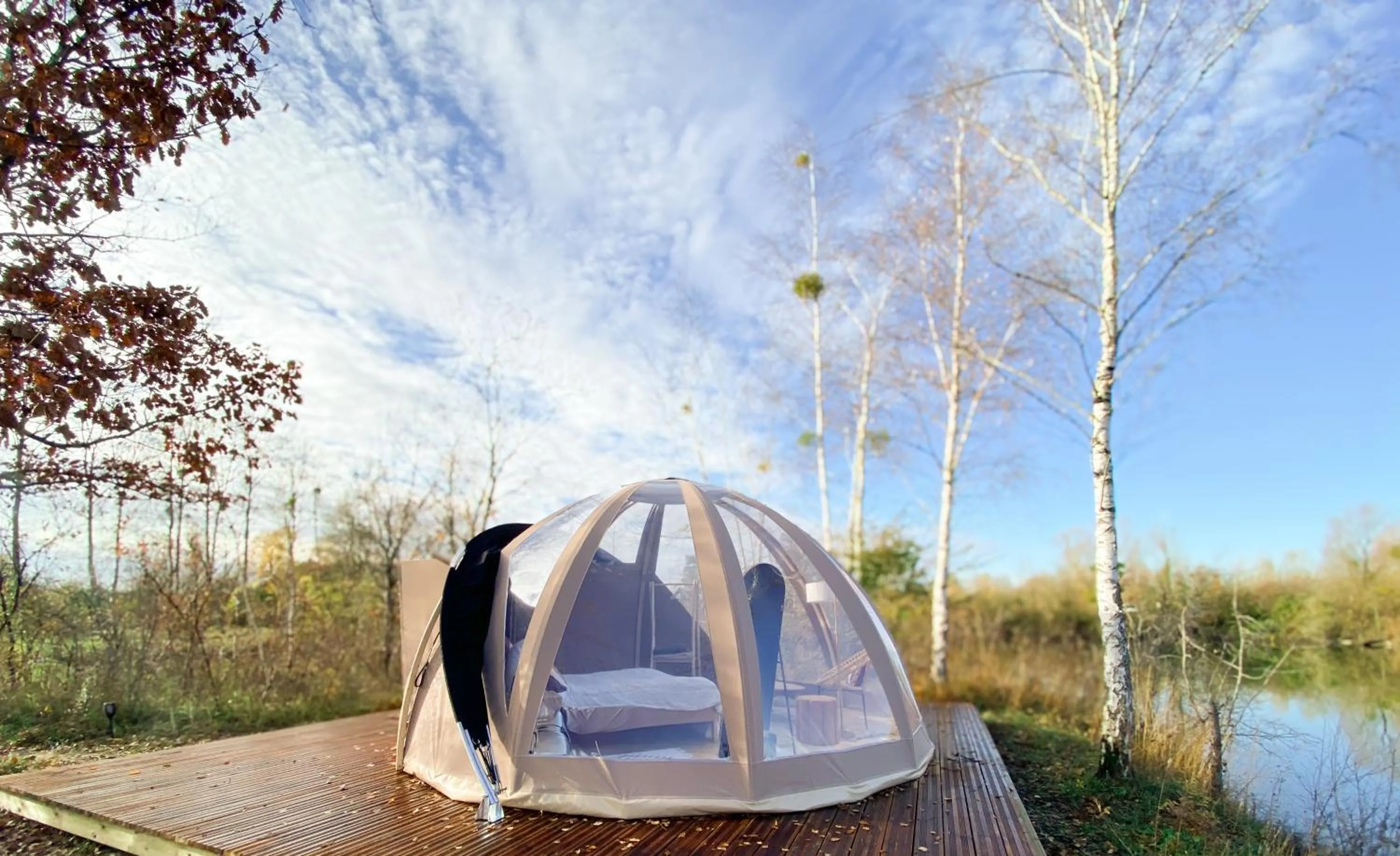 View (from property/room) in Les Etangs de la Bassée