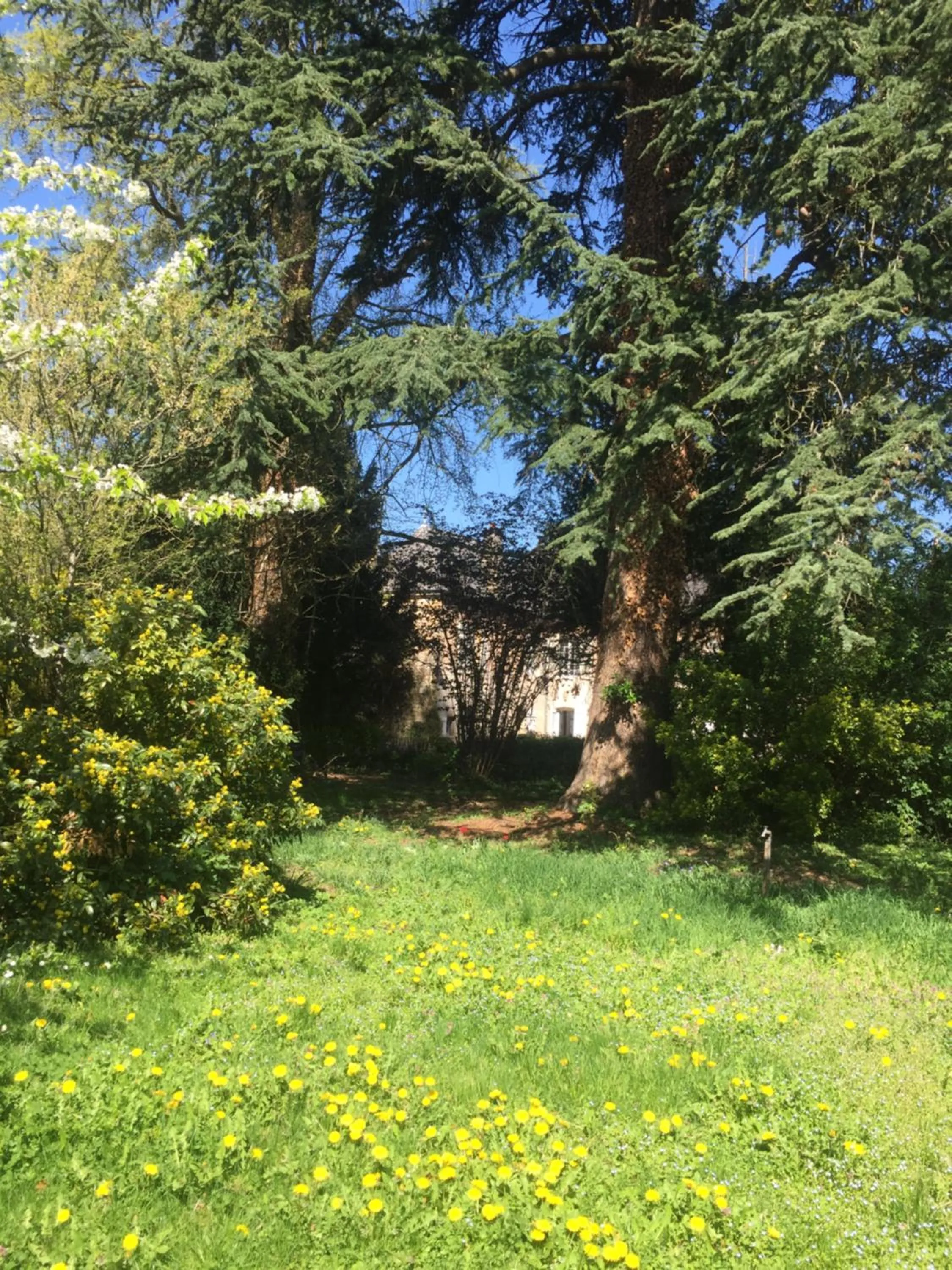 Garden view in La Maison des Gardes - Chambres d'hôtes