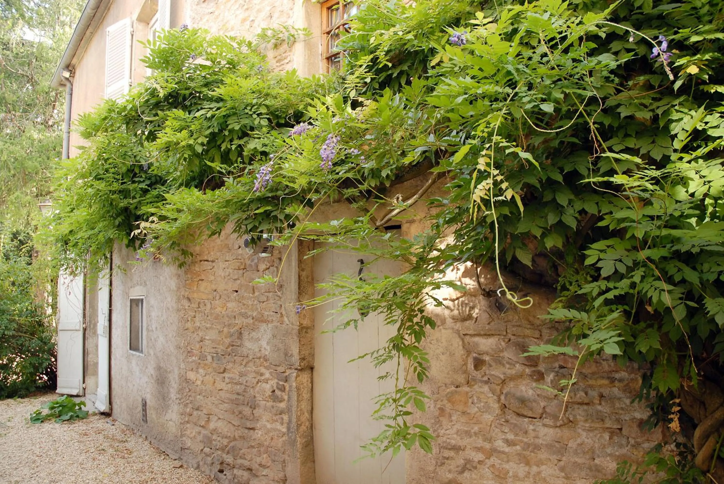 Garden in La Maison des Gardes - Chambres d'hôtes