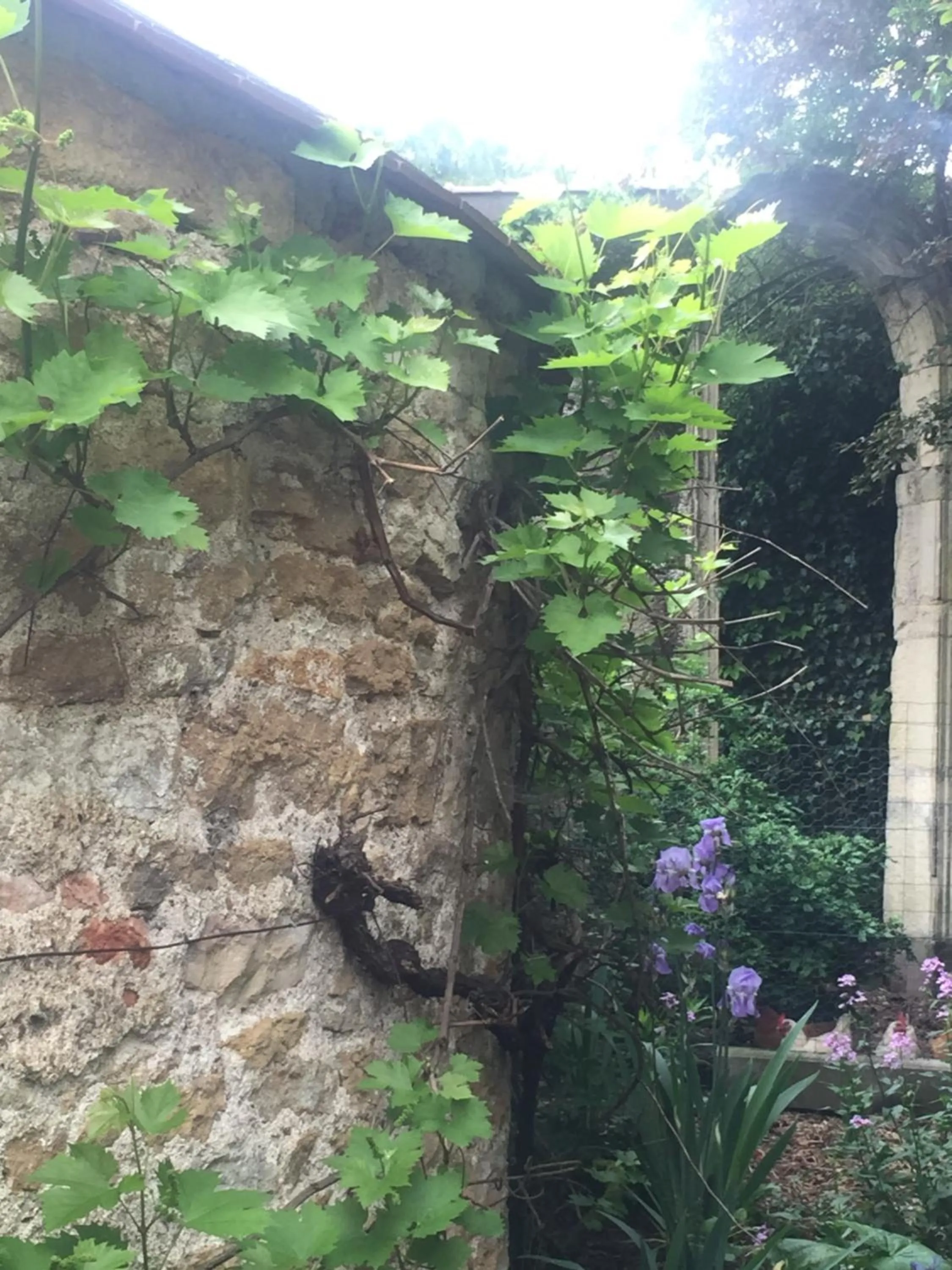 La Maison des Gardes - Chambres d'hôtes