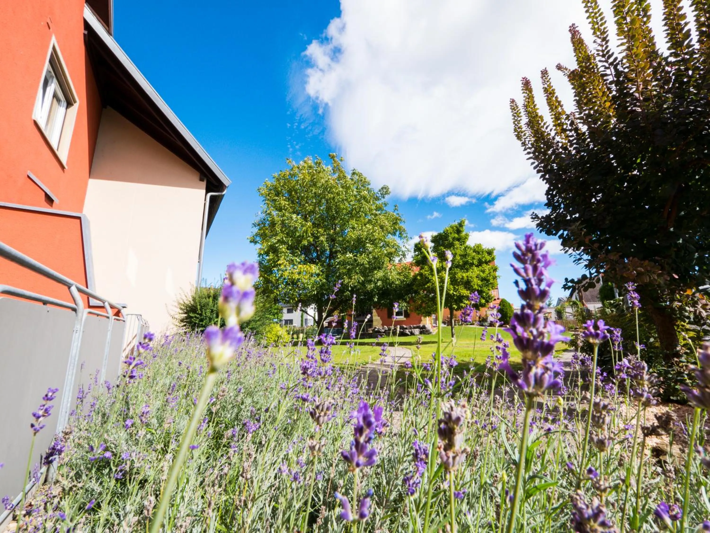 Garden view in Hotel Löwen Garni - B&B