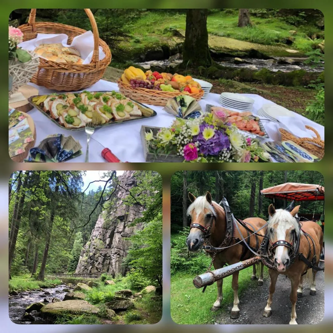 Nearby landmark in Hotel Schwarzbeerschänke Pobershau